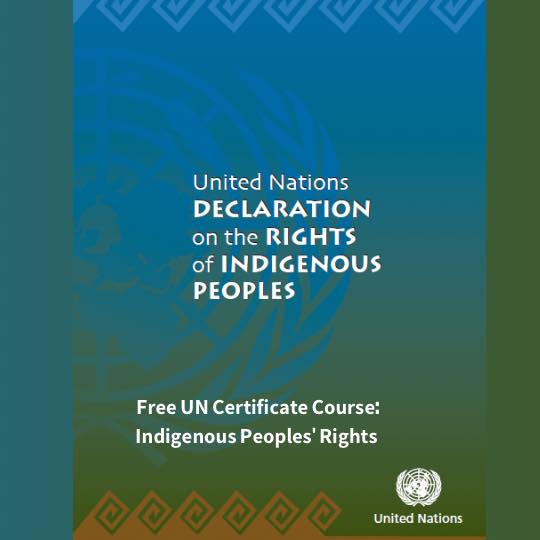 Opportunities - 🌍 Learn the Rights of Indigenous Peoples – Free UN ...