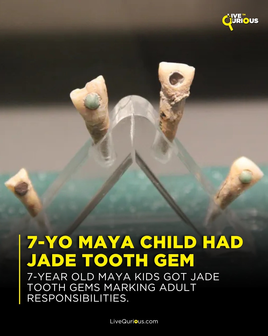 Live - 💎 Stunning discovery reveals Maya children as young as 8 ...