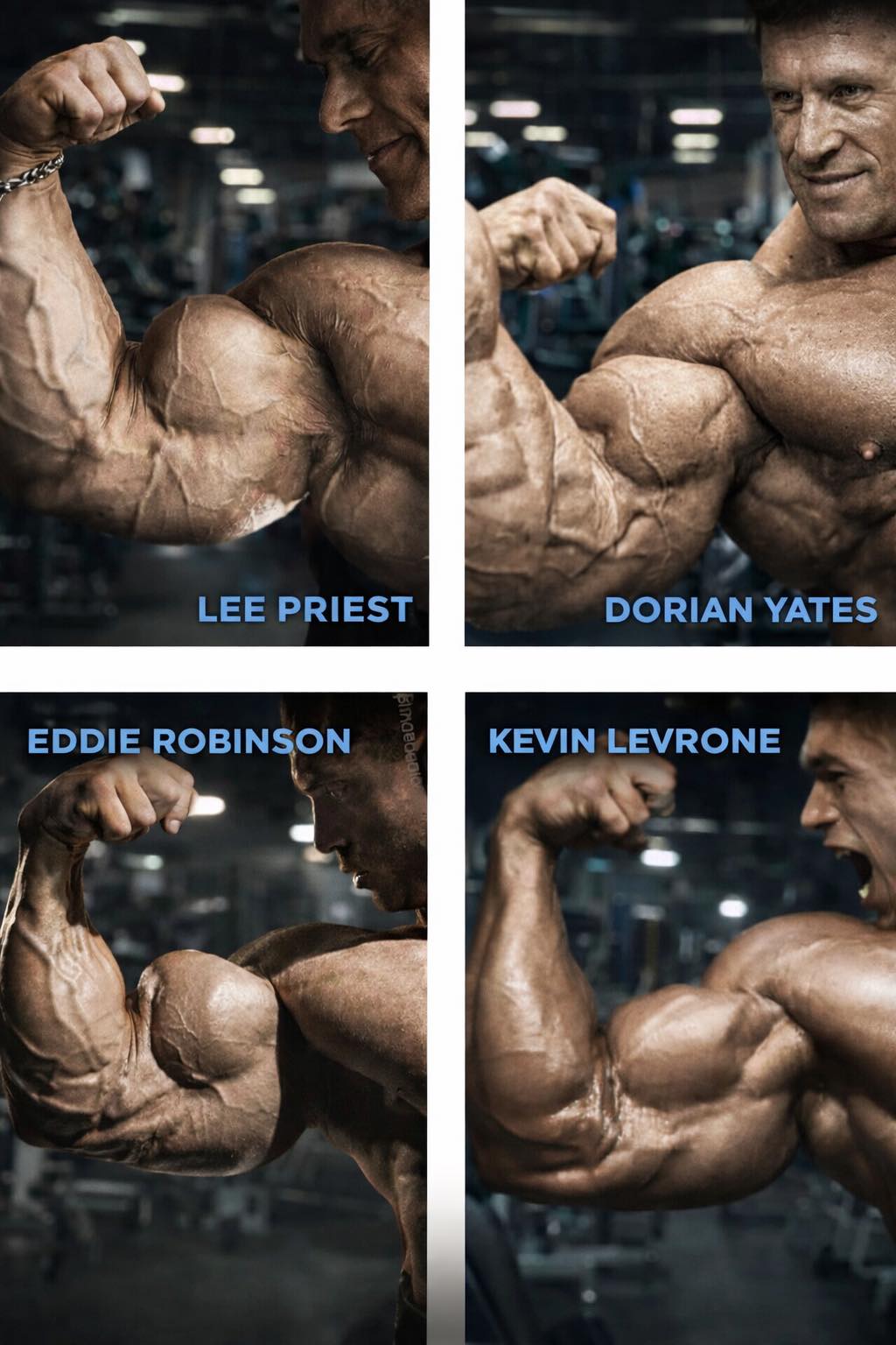 Bodybuilding - A powerful collage featuring legendary bodybuilders Lee ...