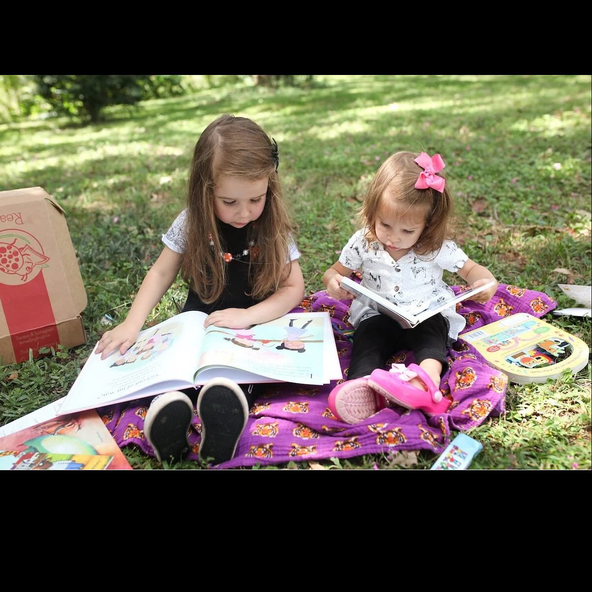 Reading Bug Box