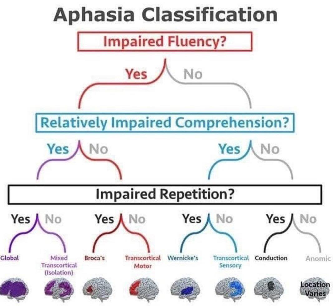 Cardiophilia - A flowchart for the classification of... | Facebook