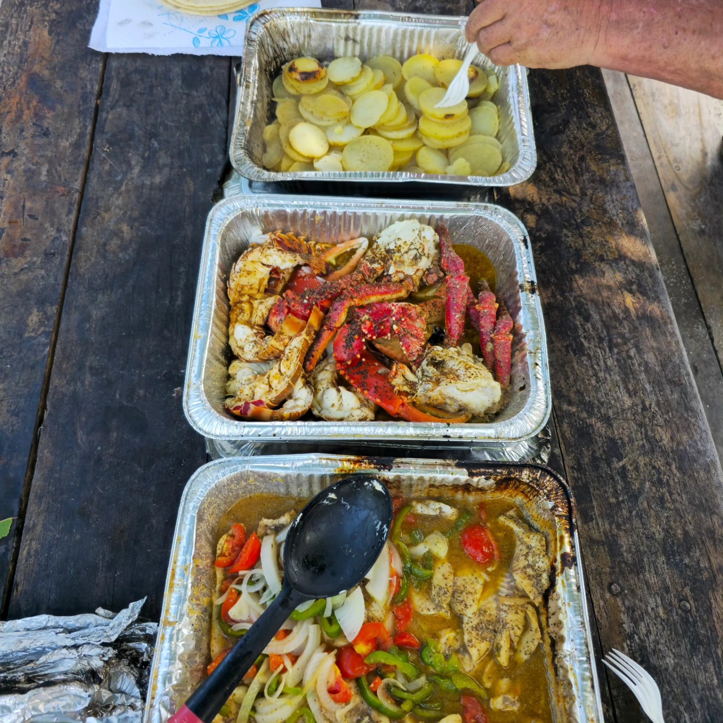 FISH 101 Belize
