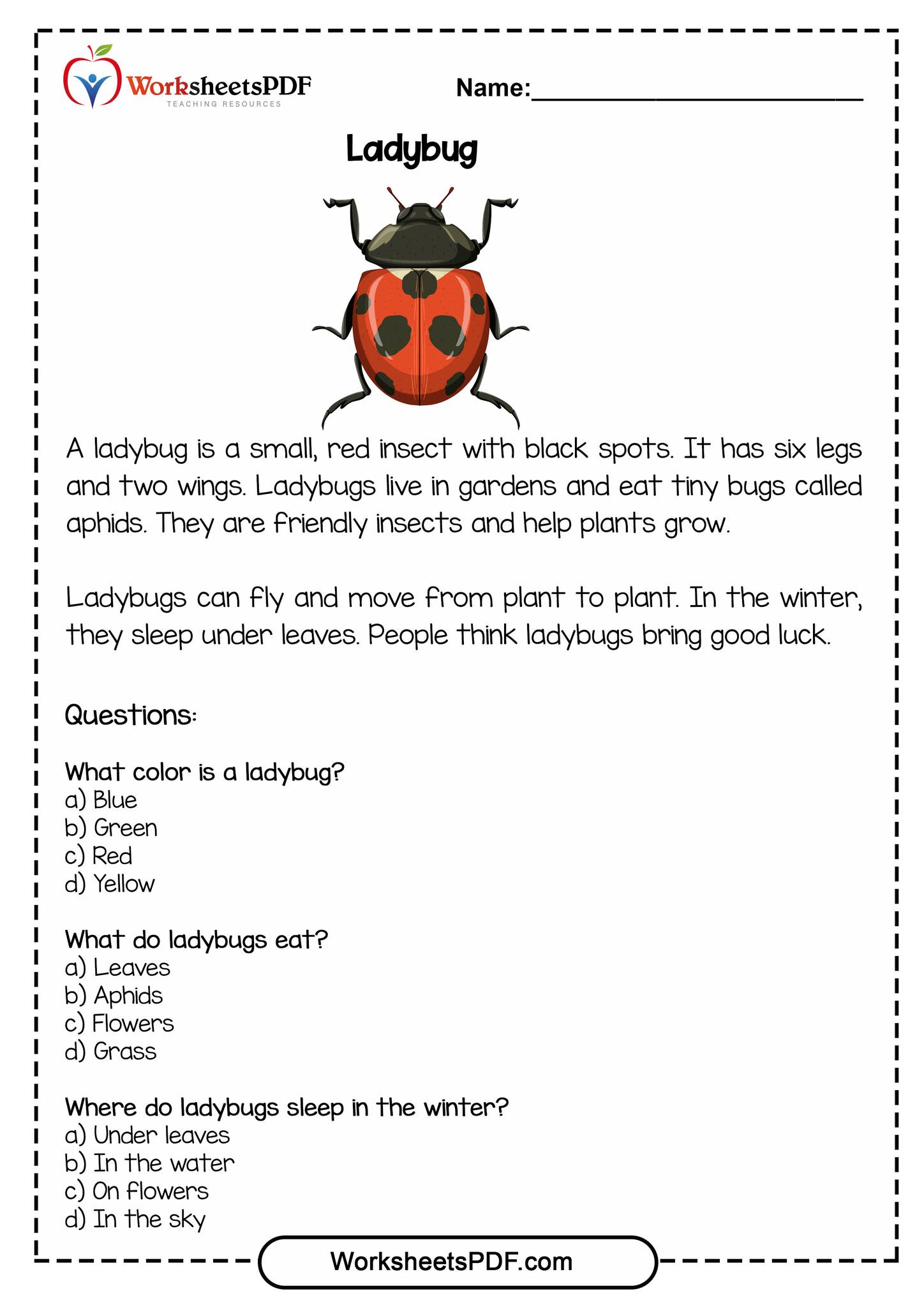 Worksheets PDF - Insects Reading Comprehension ... | Facebook