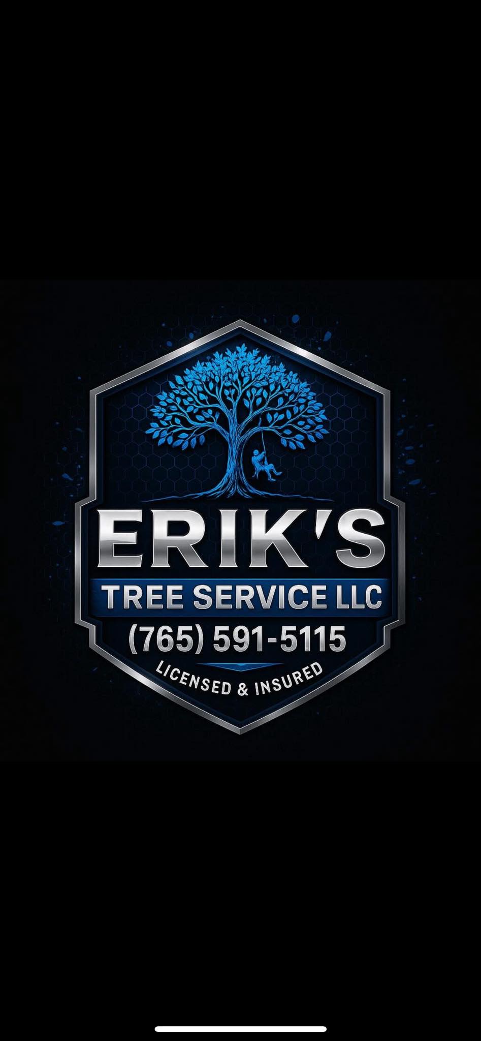 Erik’s Tree & Landscaping LLC | New Castle IN