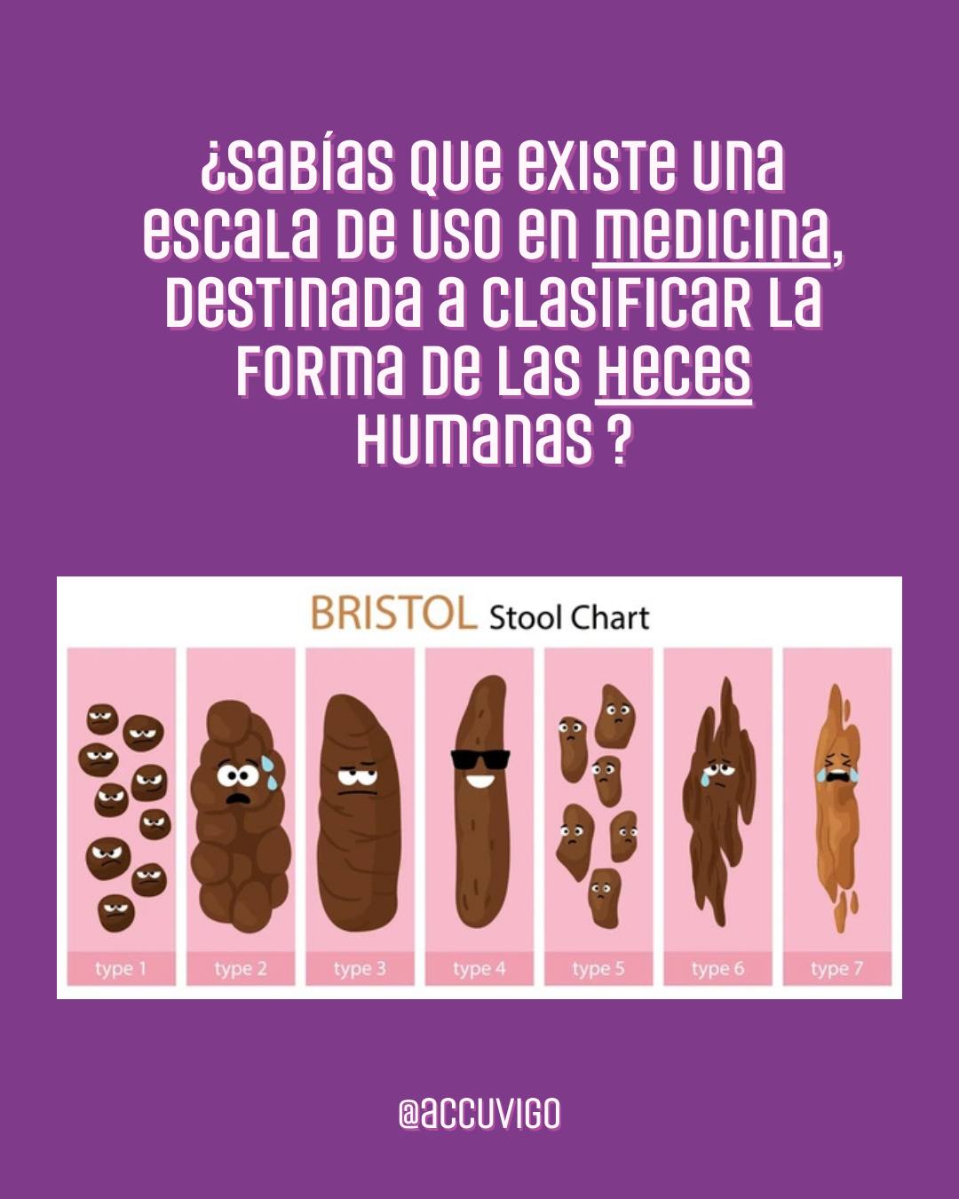 Accuvigo - 🟣 ¿Conoces la Escala de Bristol? Es una... | Facebook