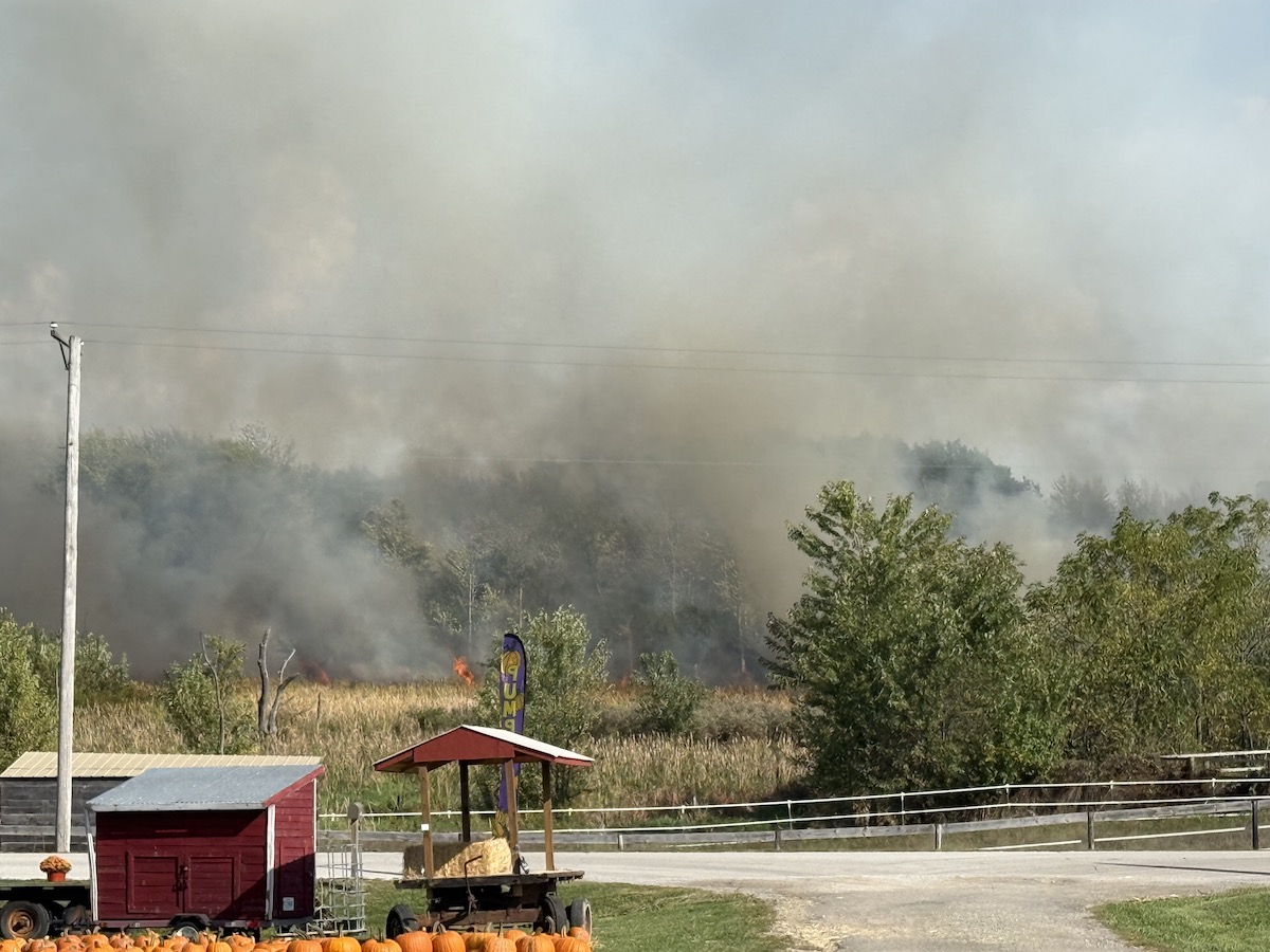 New Lenox Patch - The fire started in tall grass and... | Facebook