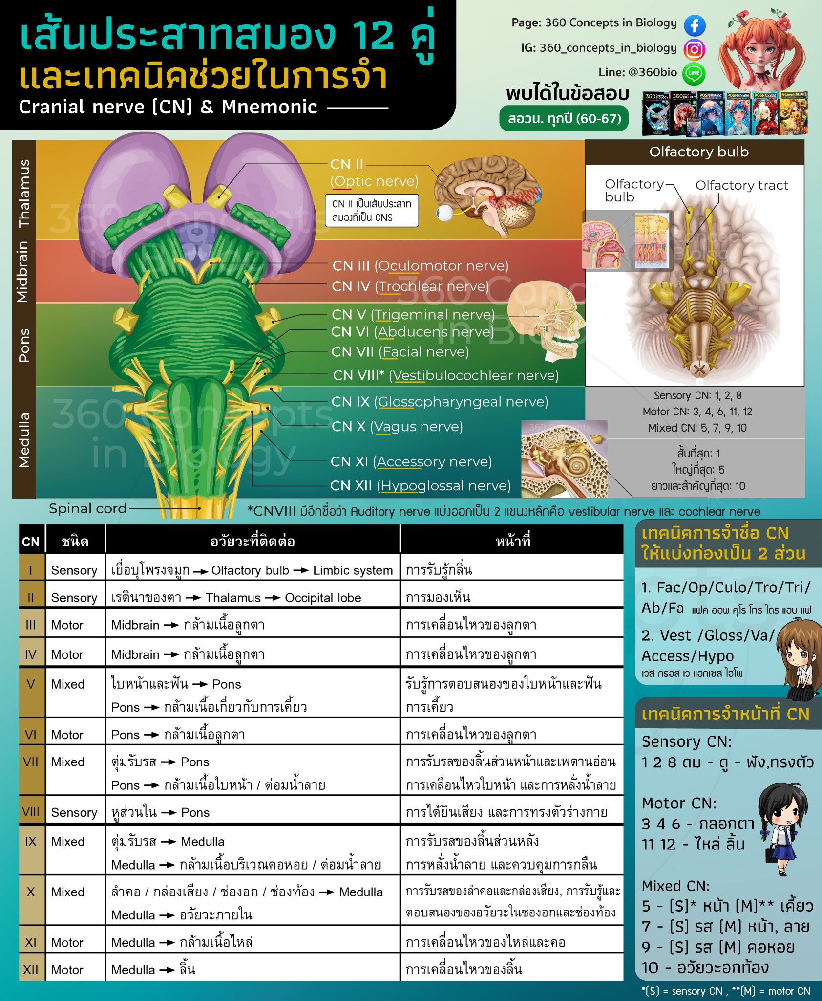 360 Concepts in Biology added a... - 360 Concepts in Biology