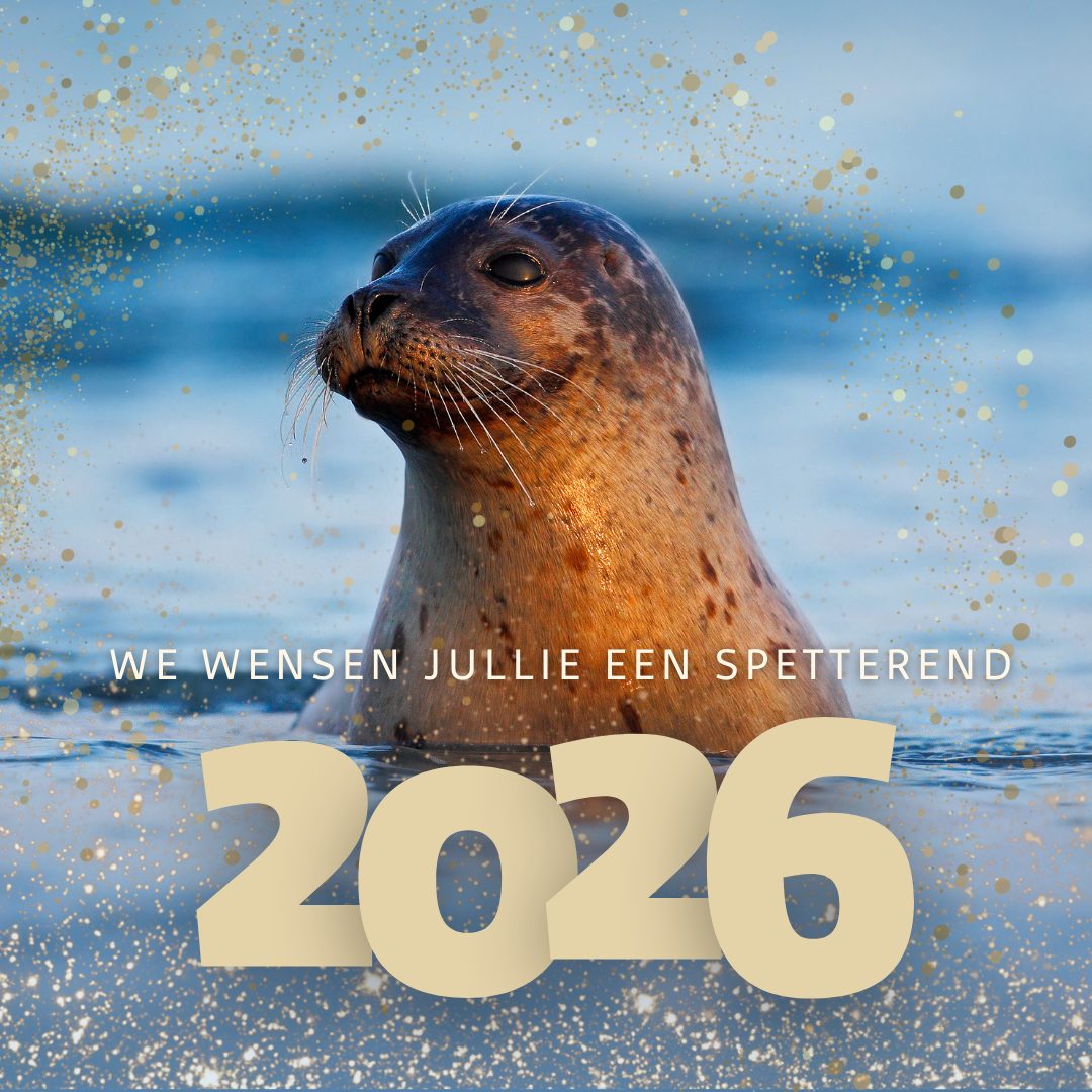 SEA - Wat een jaar! Bedankt aan al onze bezoekers, adoptieouders en ...