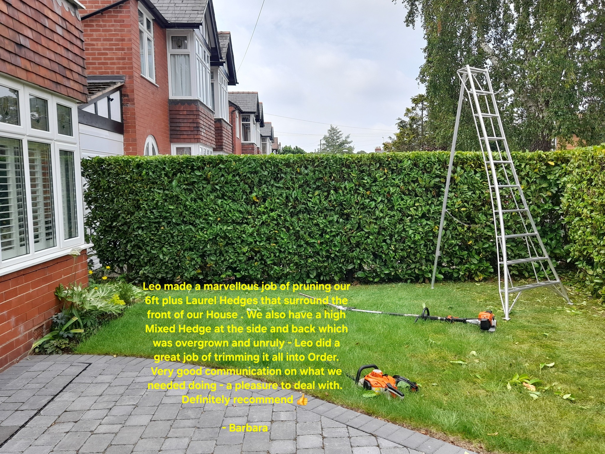 Cut Above The Rest Hedge & Tree Care Services
