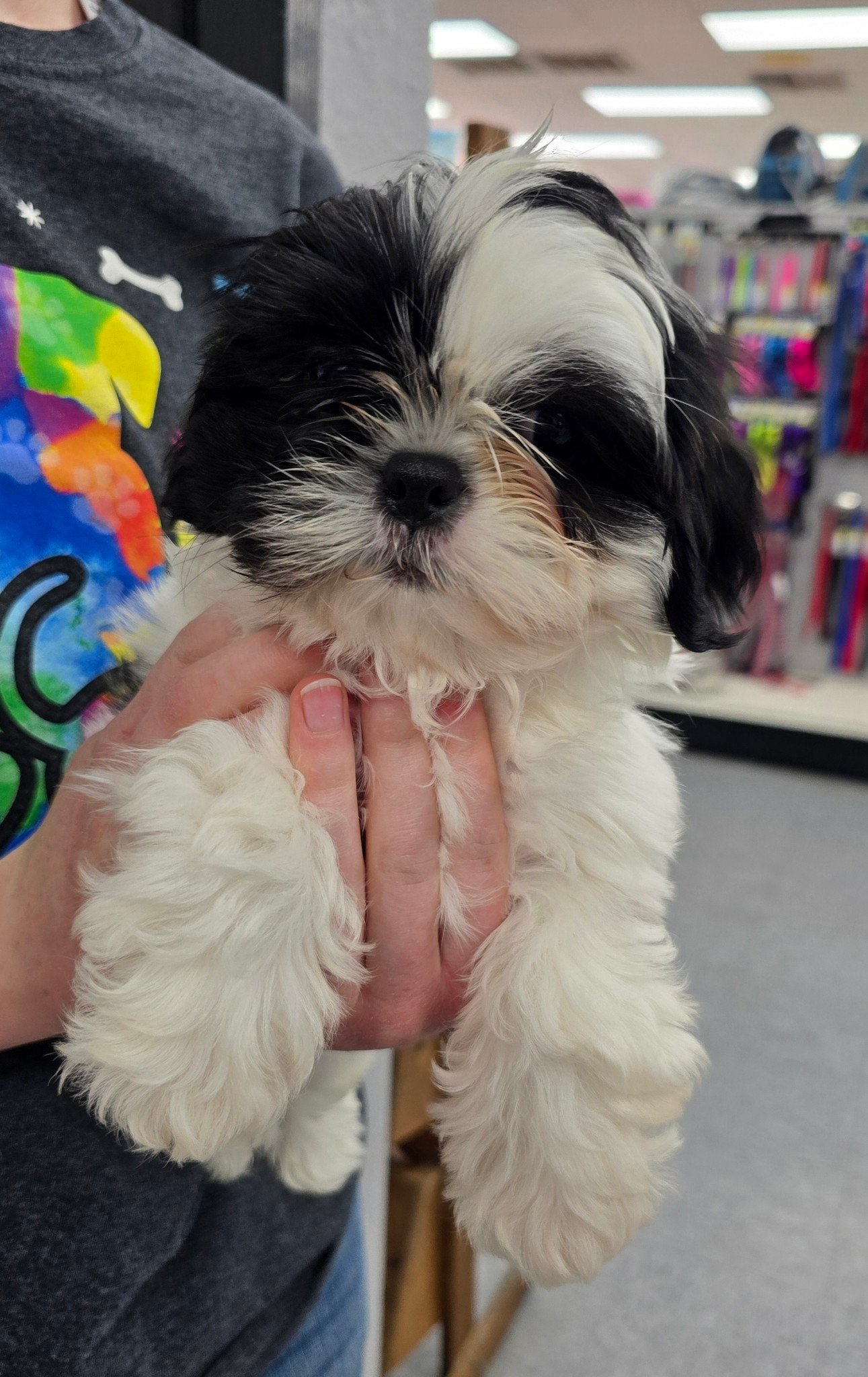 Pets Plus | Lubbock TX