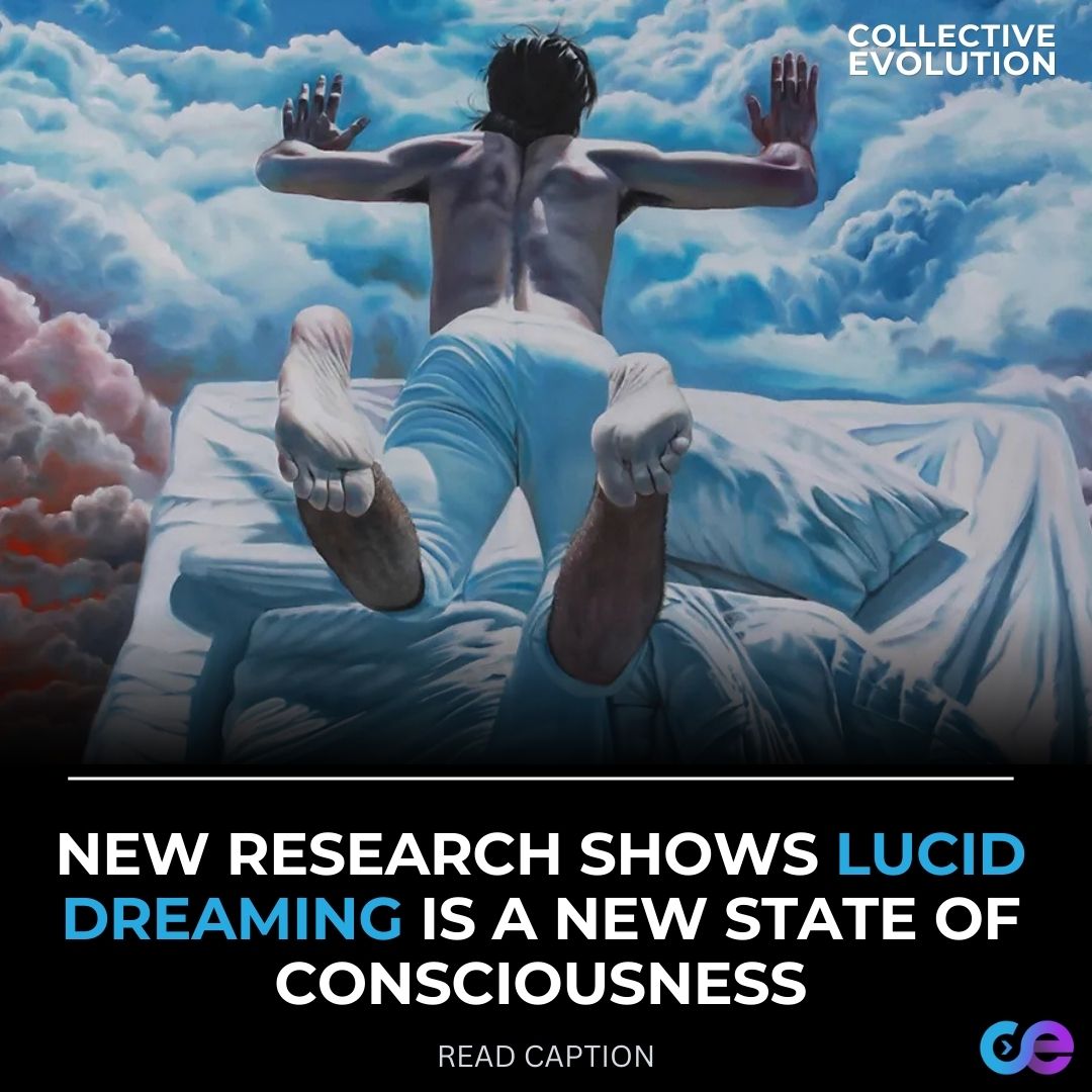 Collective Evolution Group | Lucid dreaming, the state in which a ...