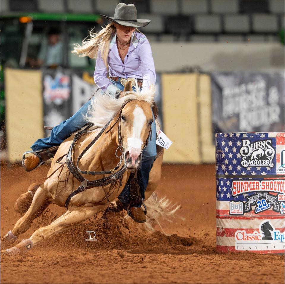 Someone is going to have so much fun with this mare! 6yo halflinger QH ...