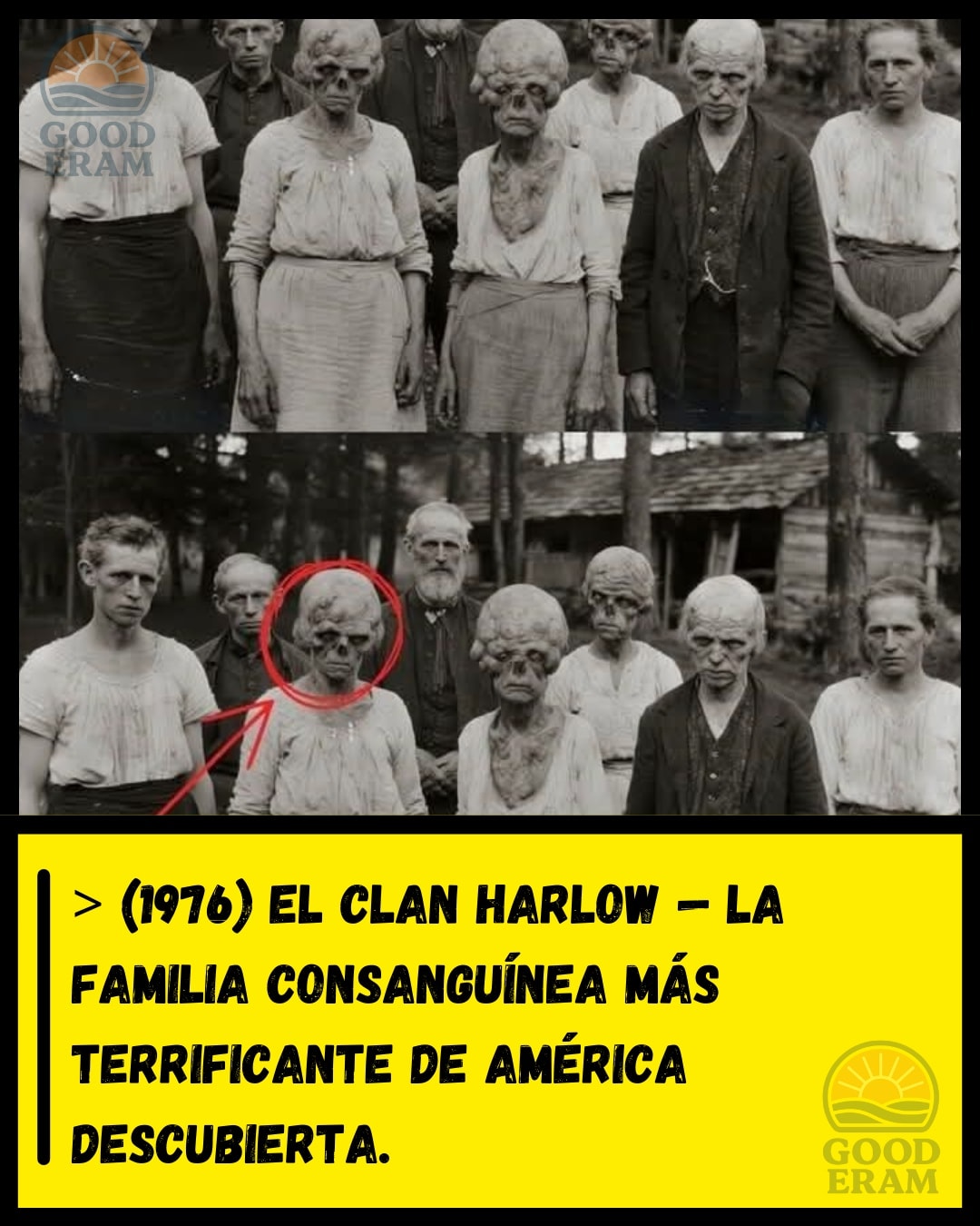 Good - (1976) El clan Harlow — La familia incestuosa más aterradora de ...