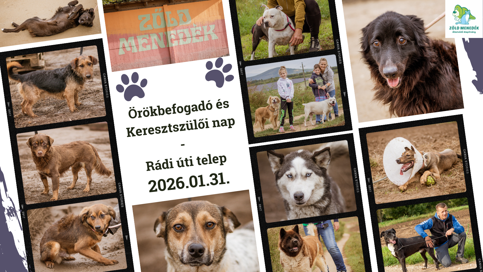 Rex Kutyaotthon Alapítvány... - Rex Kutyaotthon Alapítvány