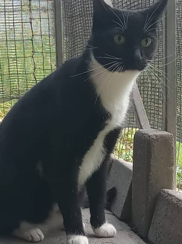 SPCA Rustenburg | Rustenburg