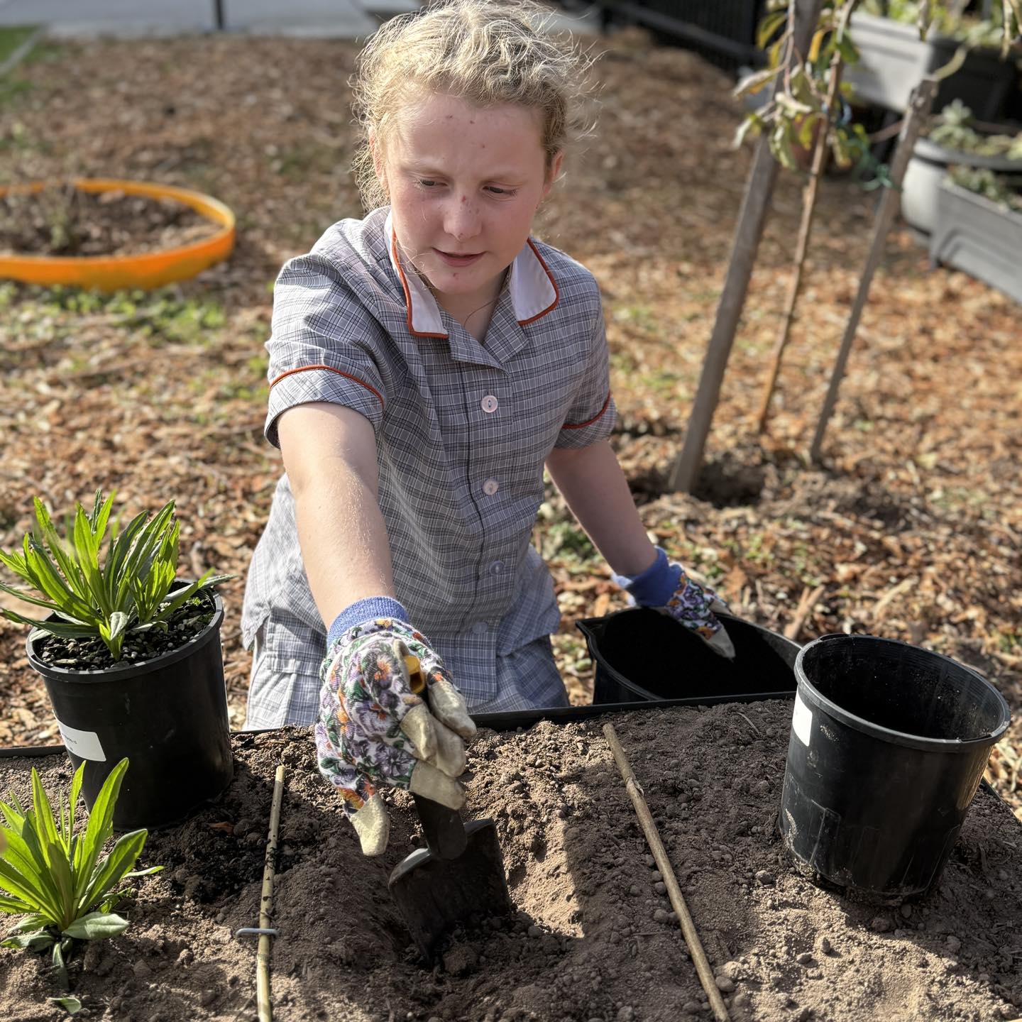 Botanic Ridge Primary... - Botanic Ridge Primary School