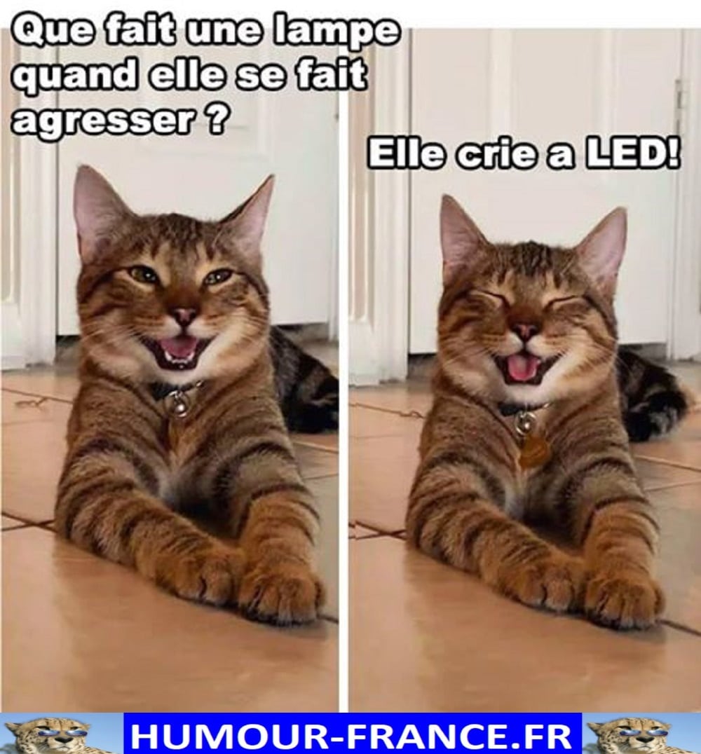 Humour-France - Humour-France : https://humour-france.fr/ Instagram ...