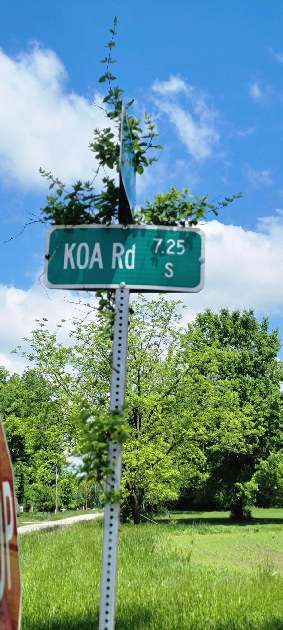 Springfield KOA Journey | Rochester IL