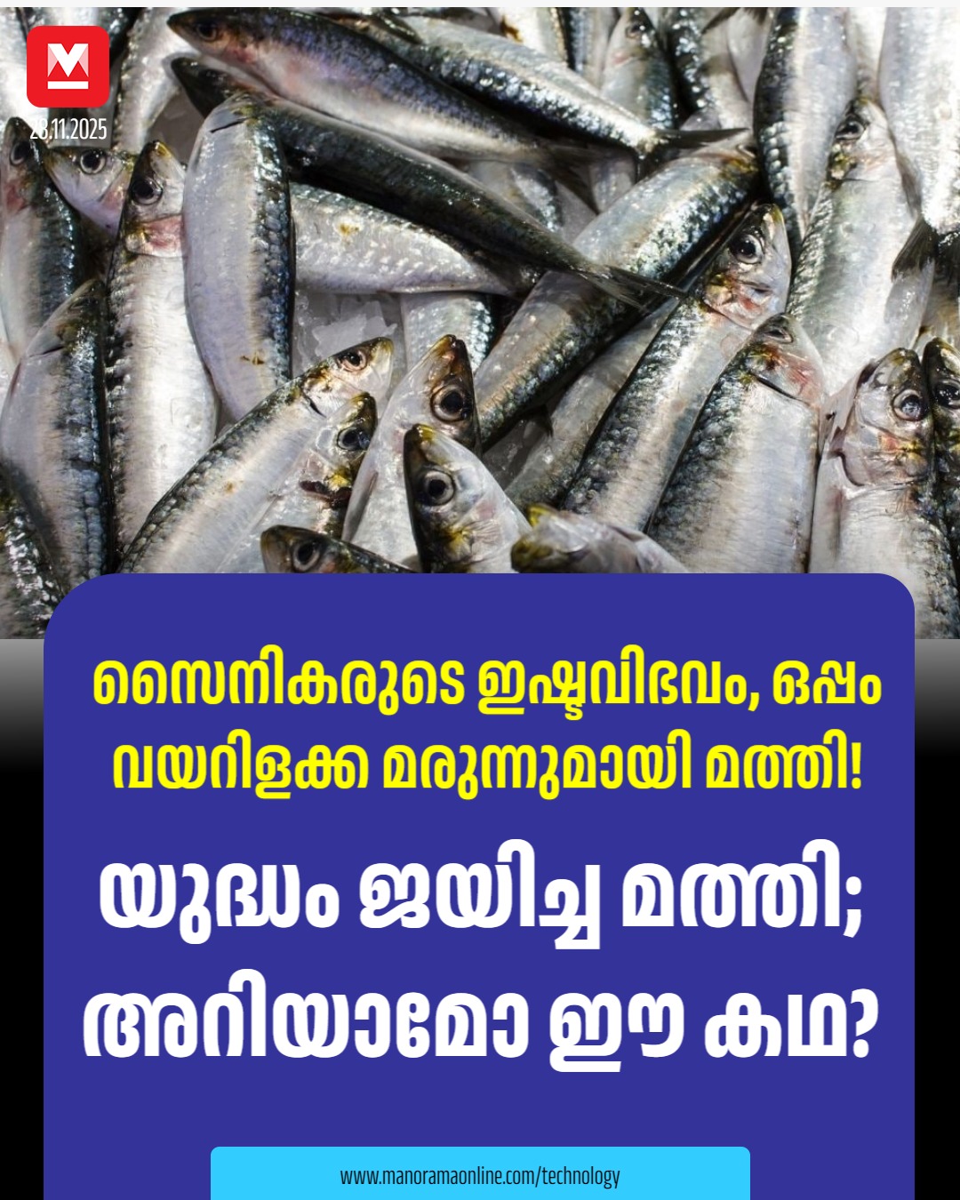 ടിന്നുകളിൽ ക്രോട്ടൺ ഓയിൽ പോലുള്ള വയറിളക്ക മരുന്നുകൾ കലർത്തി....#sardine #Defence Read : https://mnol.in/sufo5ih . . . . . . Sardines are a popular and nutritious fish with a rich history. They have 