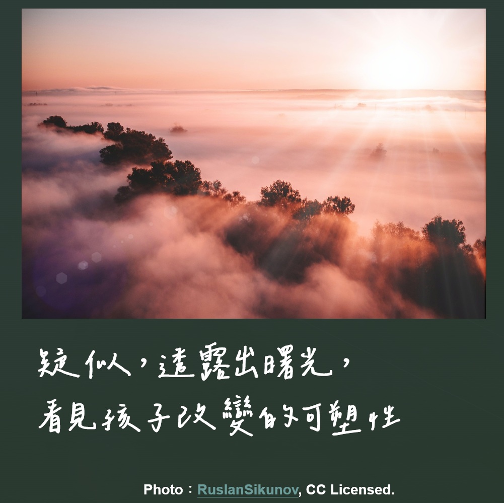 王意中心理治療所 - 疑似，兩個字，每個人的解讀不盡相同。疑似，反映了幾件事。... | Facebook