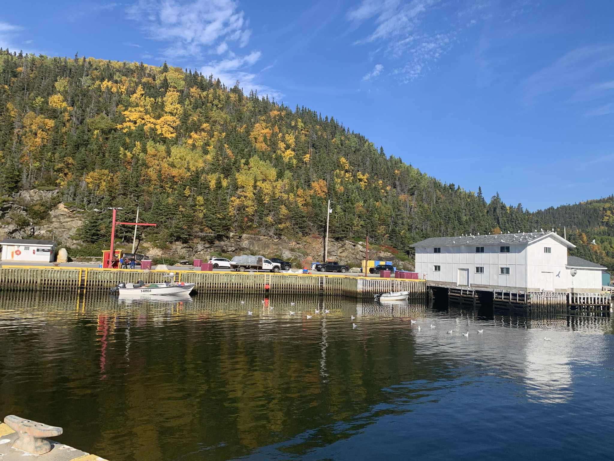 Lin... - Lin Paddock, PC MHA for Baie Verte - Green Bay