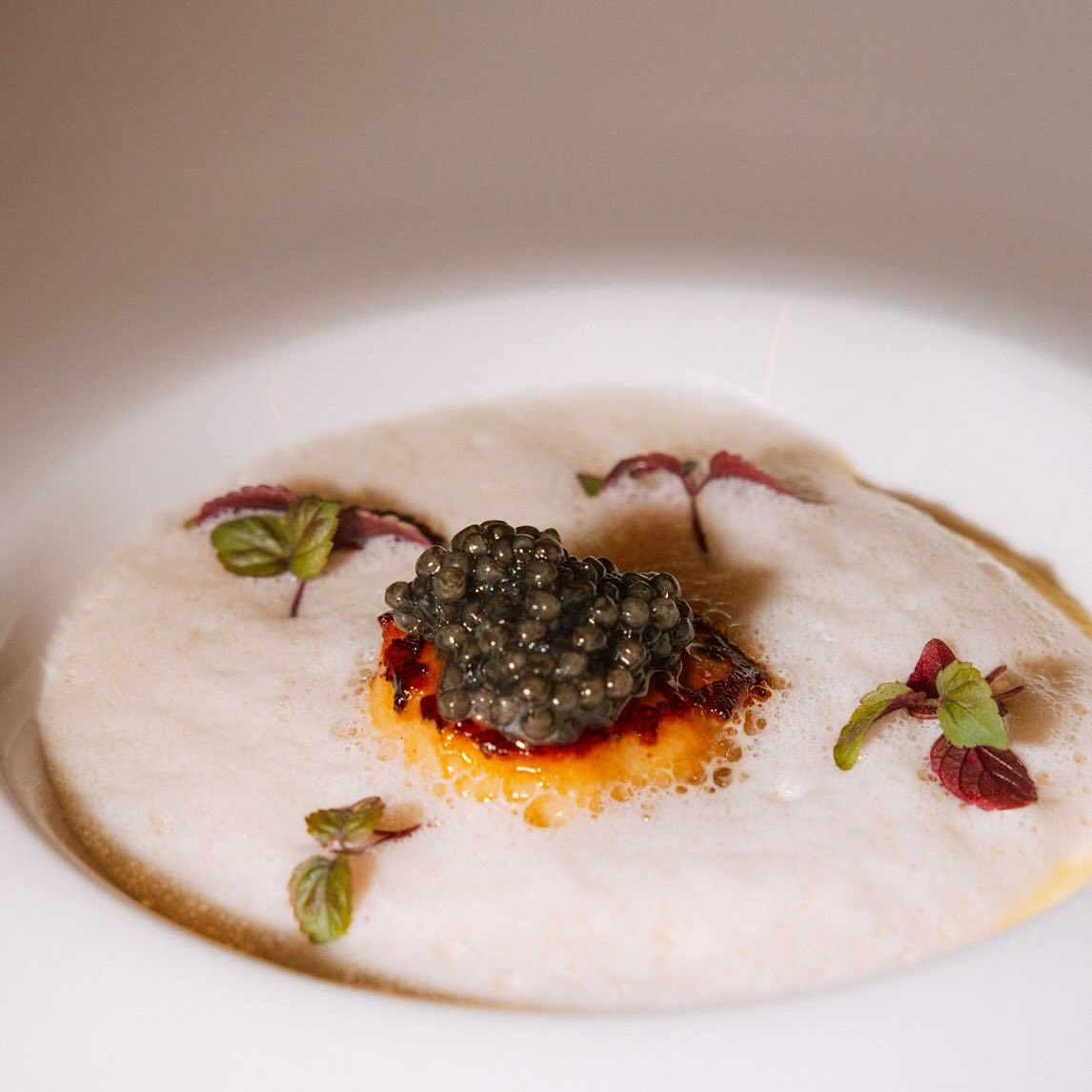 Noble Rice | Tampa FL