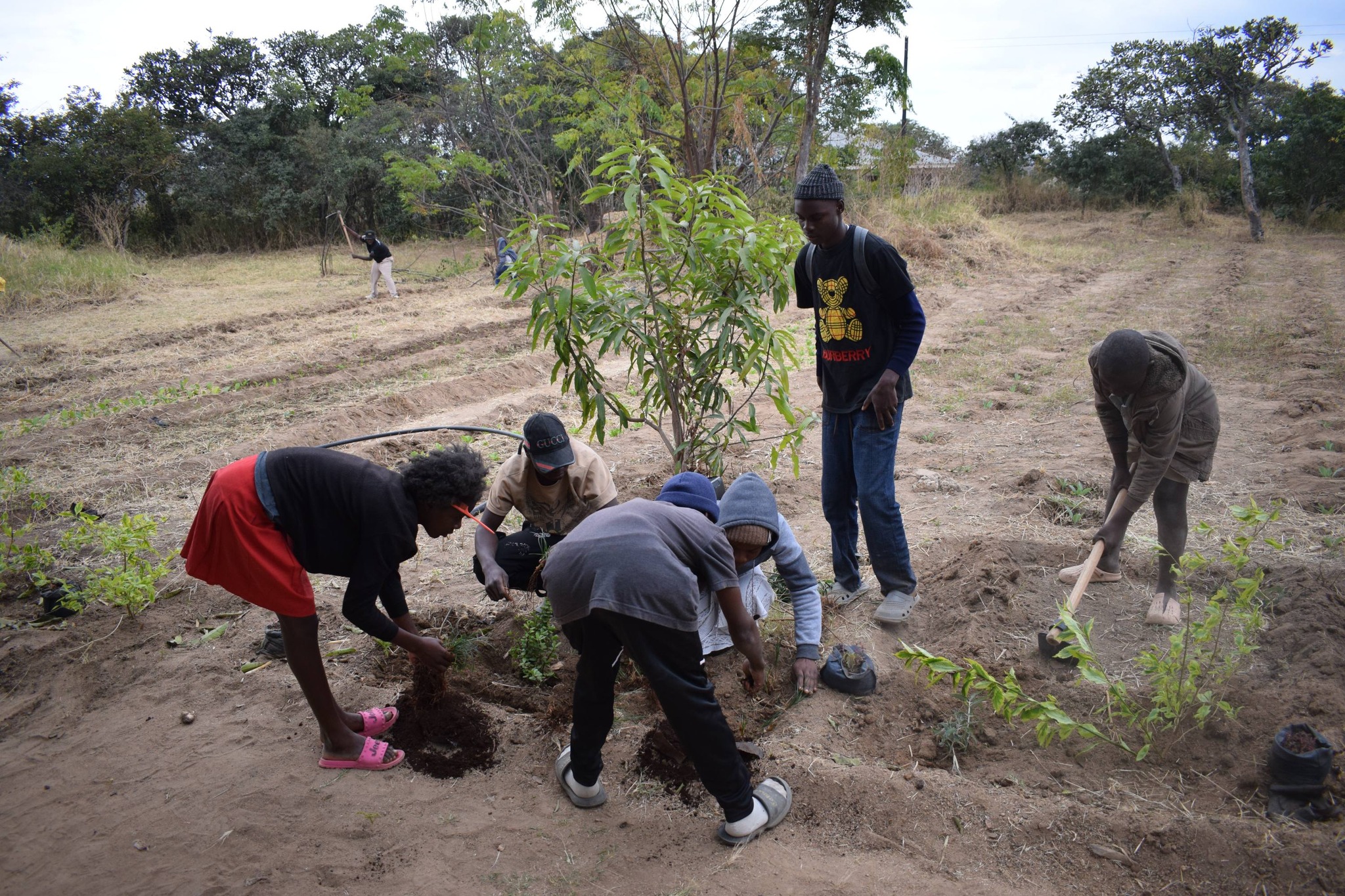 Rural Enterprise Trust of Zimbabwe - RETZ | Harare