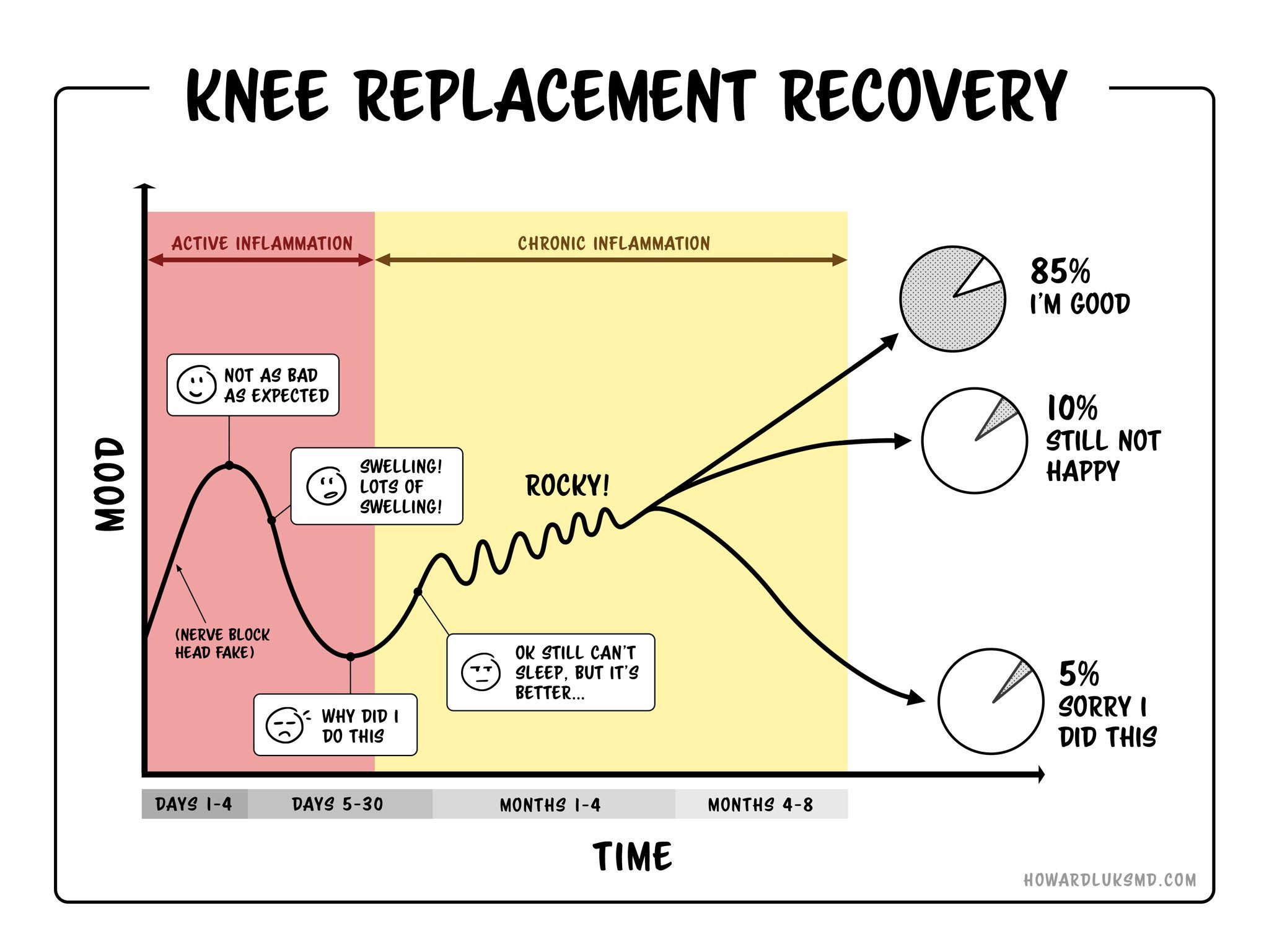 Fantastic infographic by Dr. Howard... - InfoPhysiotherapy | Facebook