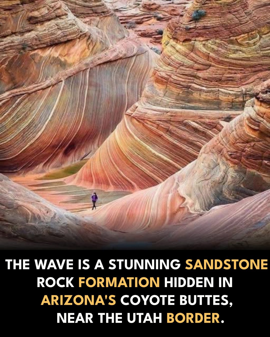 Historical - The Wave is one of the most visually striking natural ...