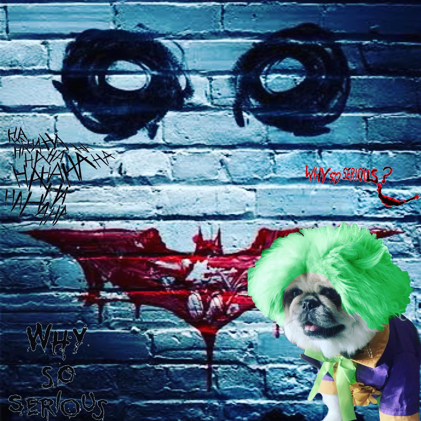 soytotoro_