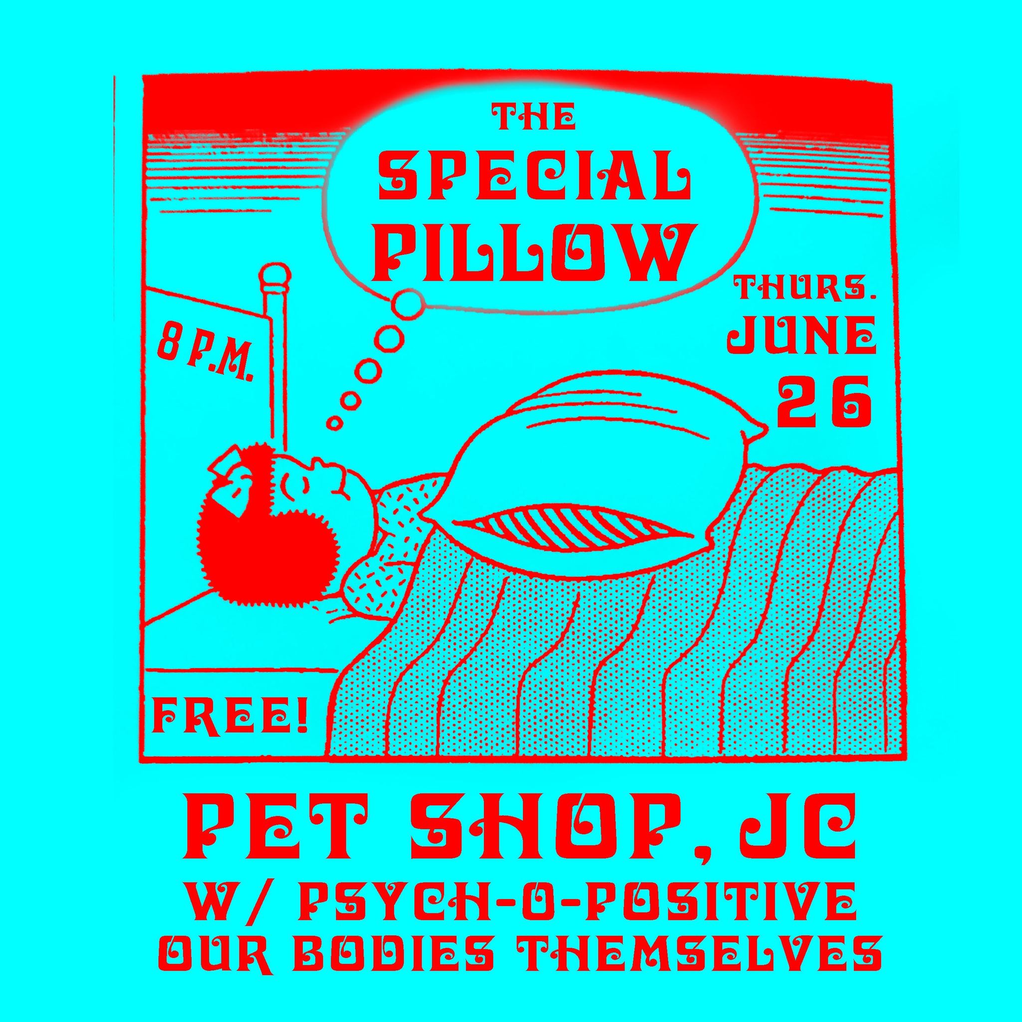 The Special Pillow (@TheSpecialPillow) • Facebook