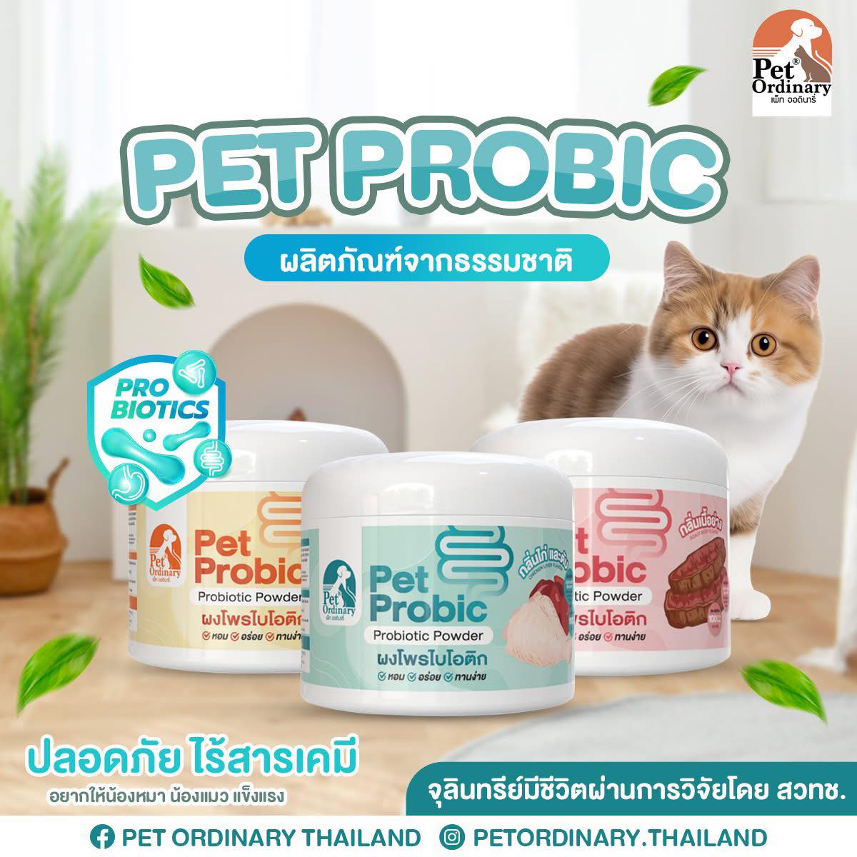 Cat - แก้มย้อยยย! #สนใจอินบ้อกมาได้คับ #britishshorthair | Facebook