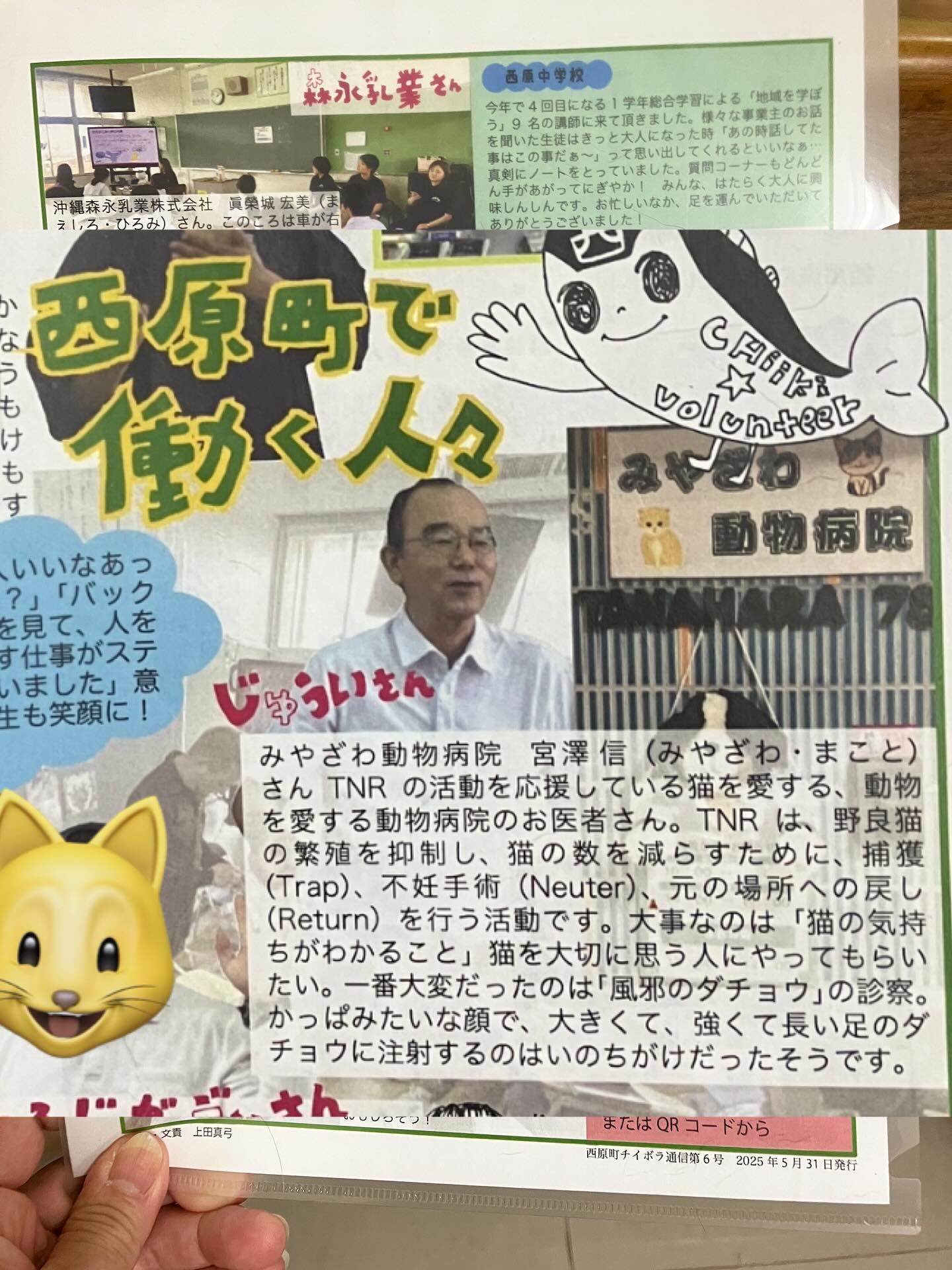 活動歴および当時の関連ビジュアル記録