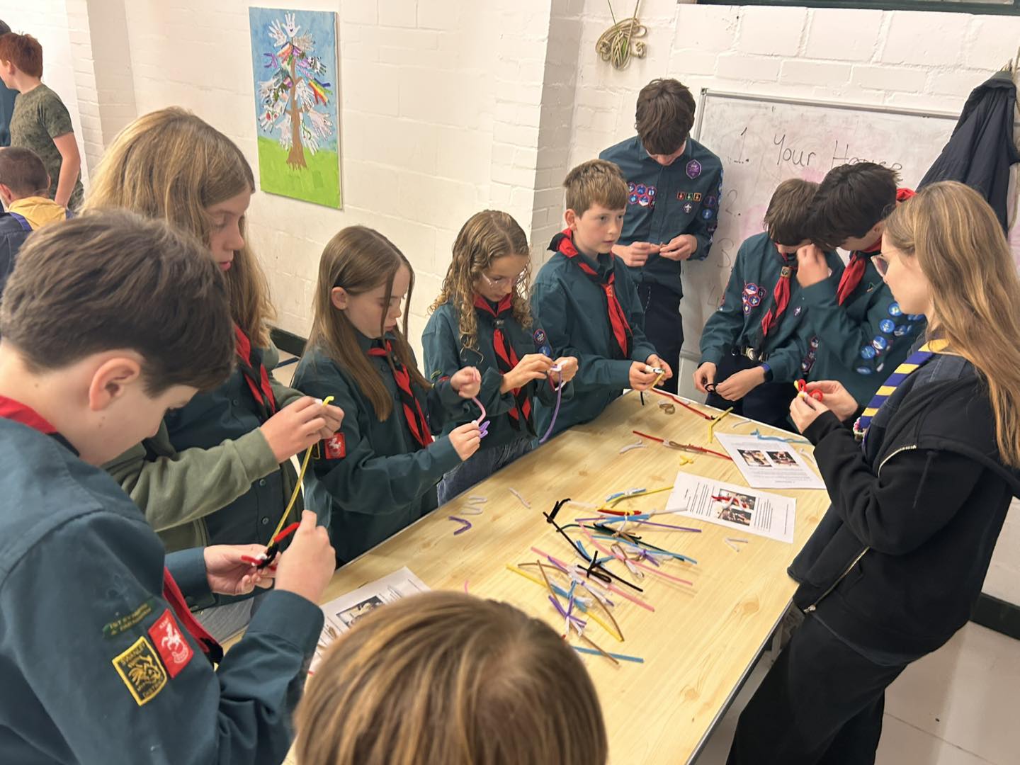 1st Eynsford &... - 1st Eynsford & Farningham Scout Group