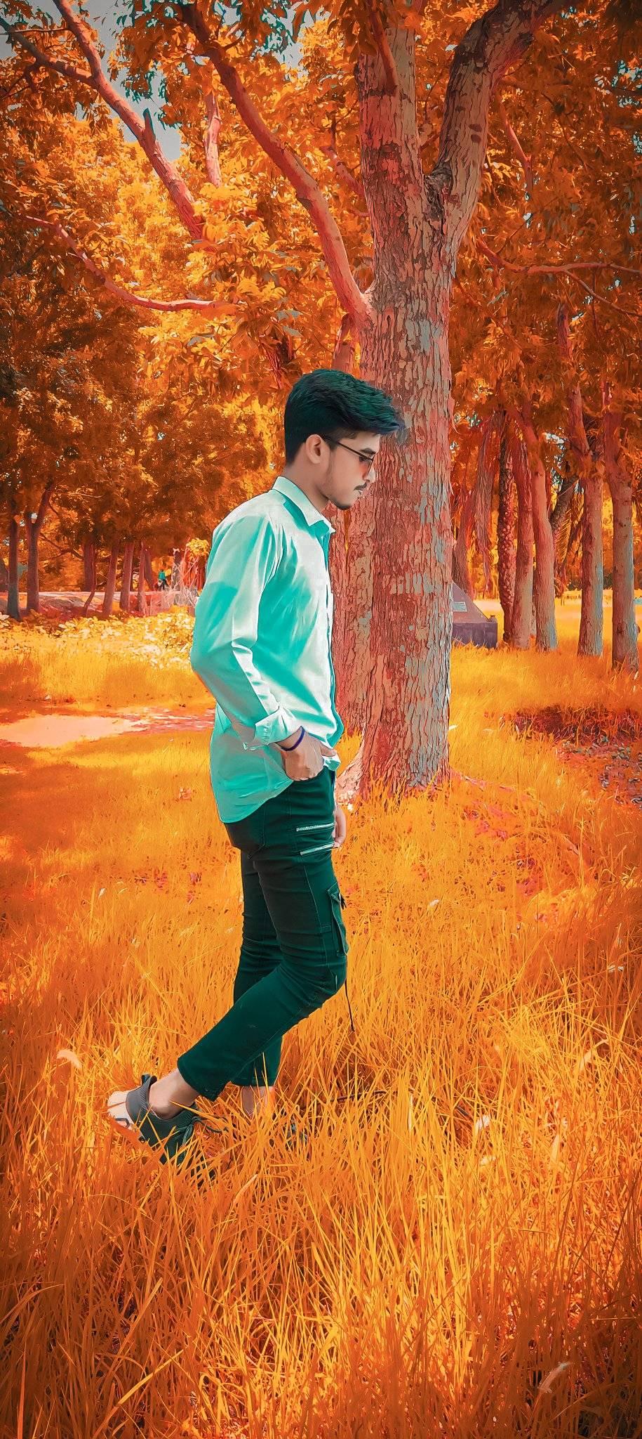 Provan Roy