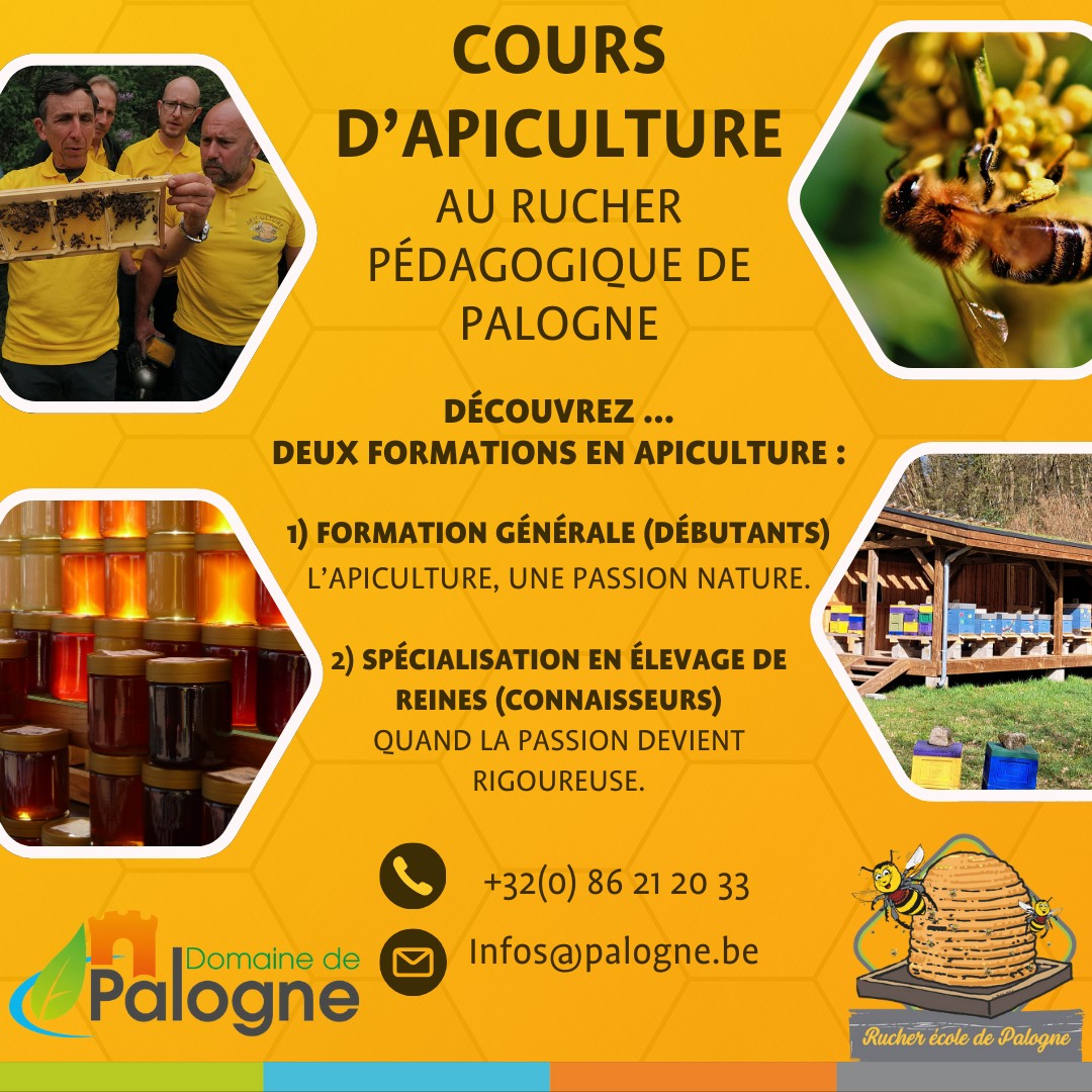 🐝 Le monde des abeilles vous... - Le Domaine de Palogne | Facebook