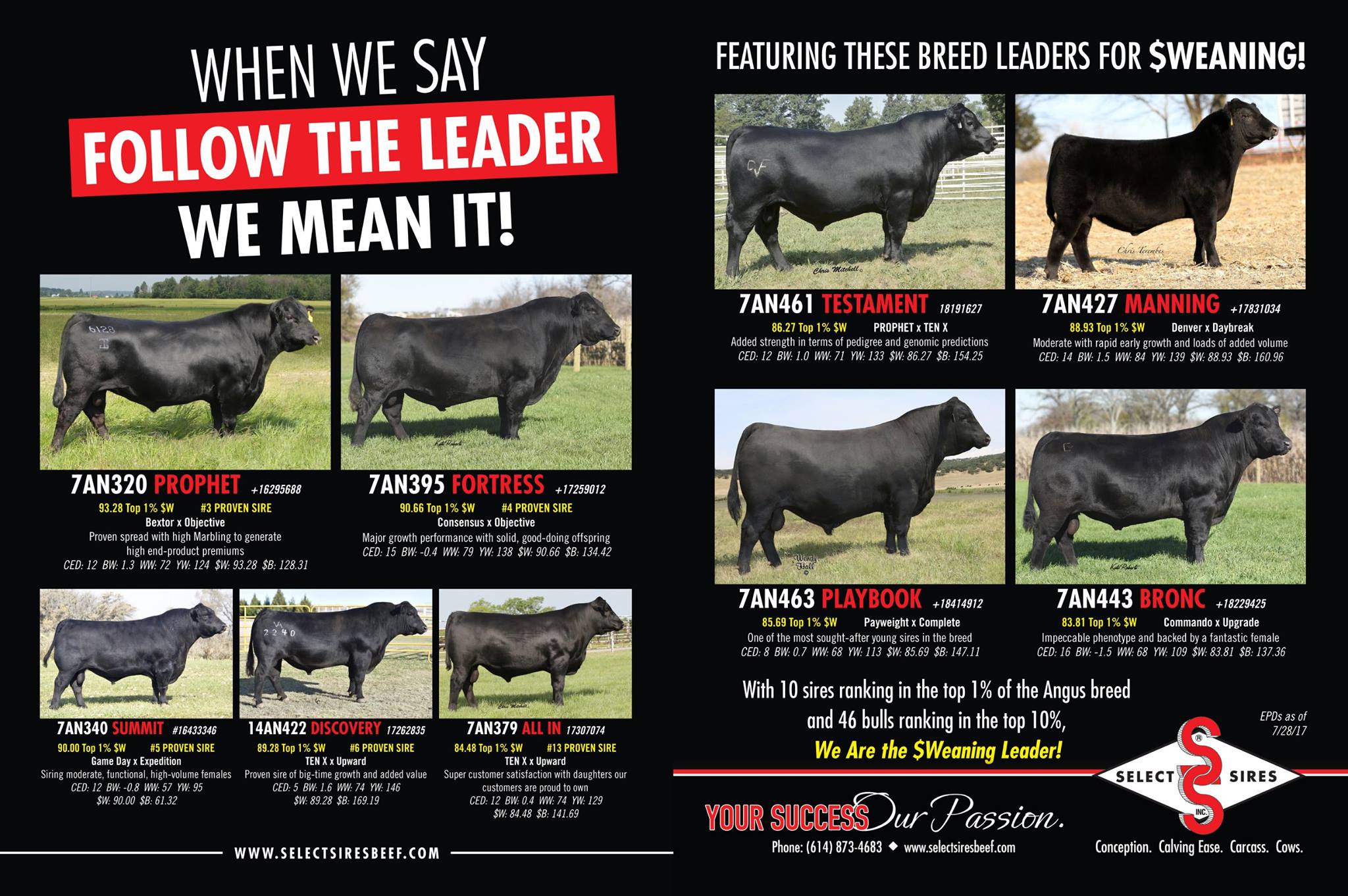With 10 sires ranking in the top 1% of... - Select Sires Beef