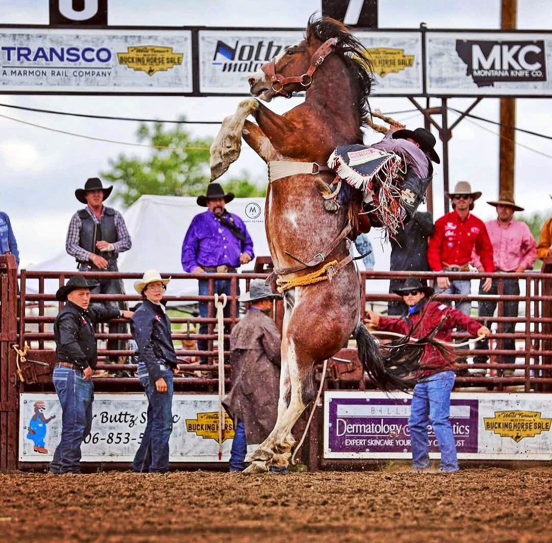 North Star Stampede, Effie MN | Facebook