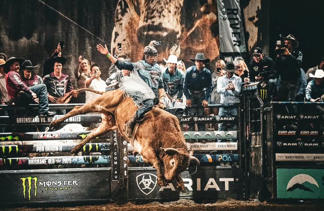 Rodeo - Best bull photo 🤩 Great photograph! 📷 #rodeonewsbroadcast # ...