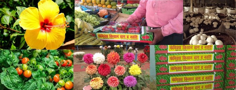 Faymix Kisan Baag & Nursery | Deoria