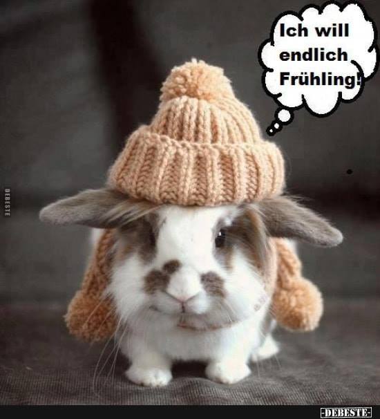 Echt Lustige Tiere Facebook