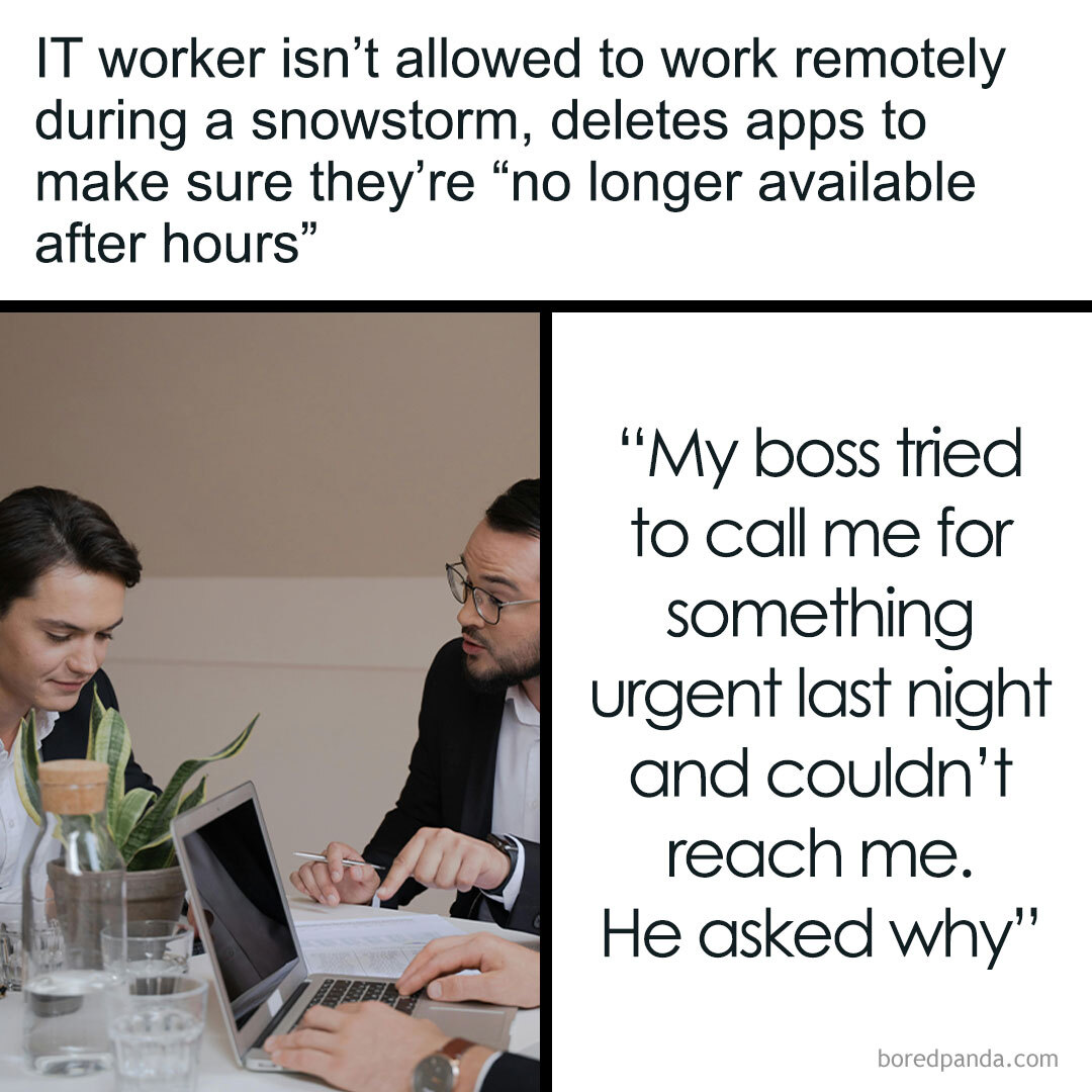 Bored Panda - IT worker isn’t allowed to work remotely... | Facebook