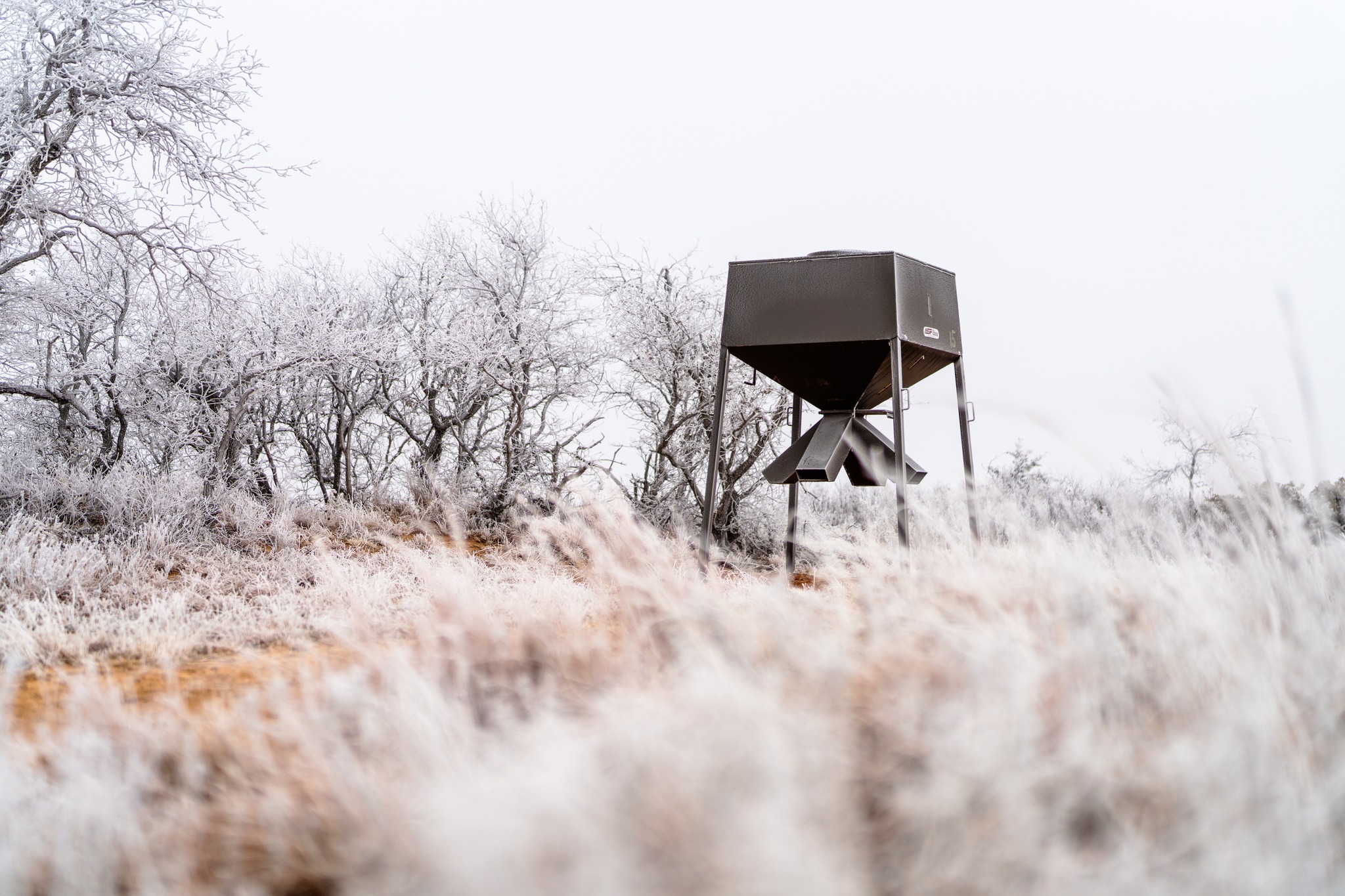 ALL - Fredericksburg, TX low fence buck @hunt_kcr caught on camera at ...