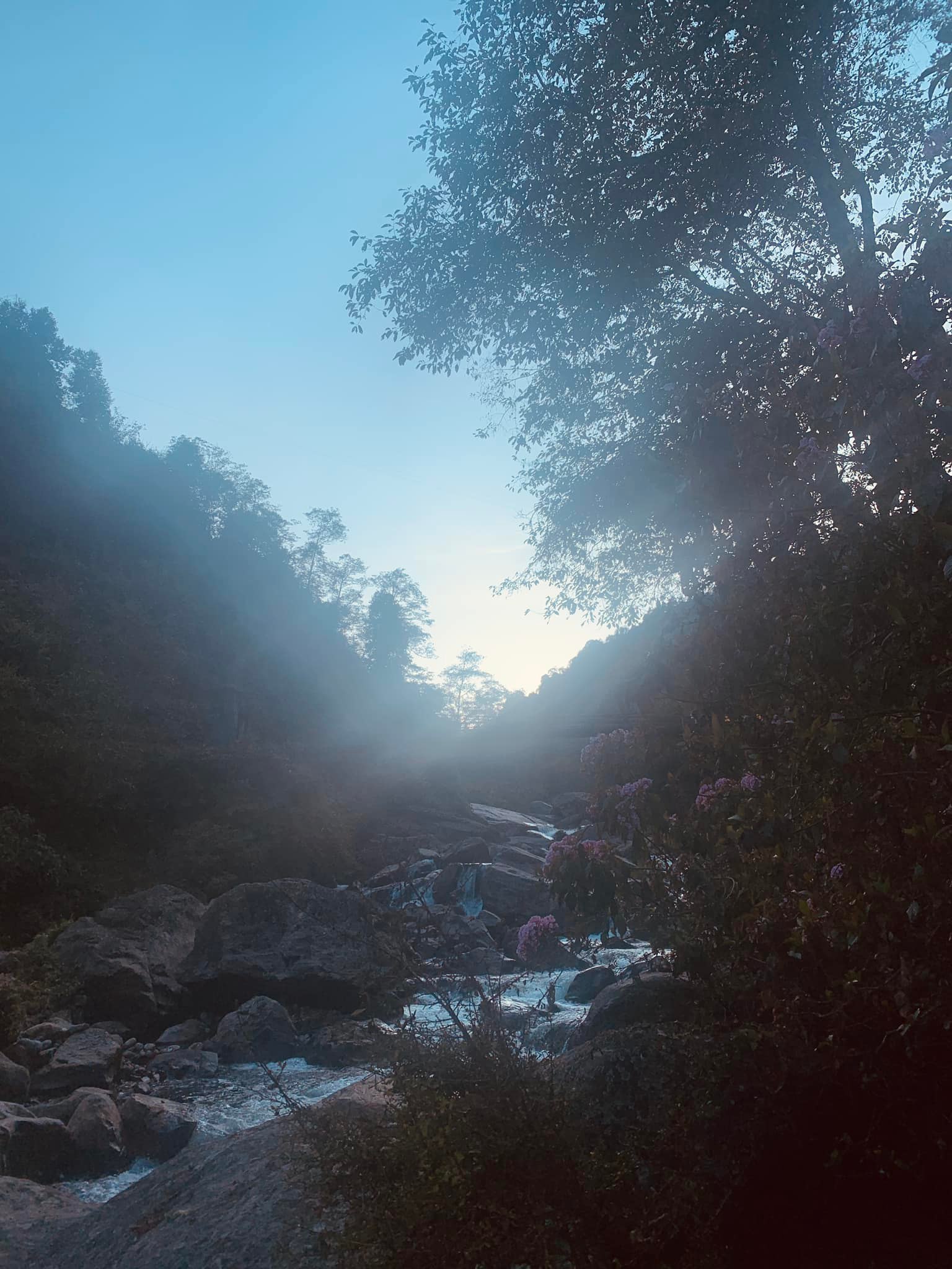 Rimbick - Gateway to Singhalila