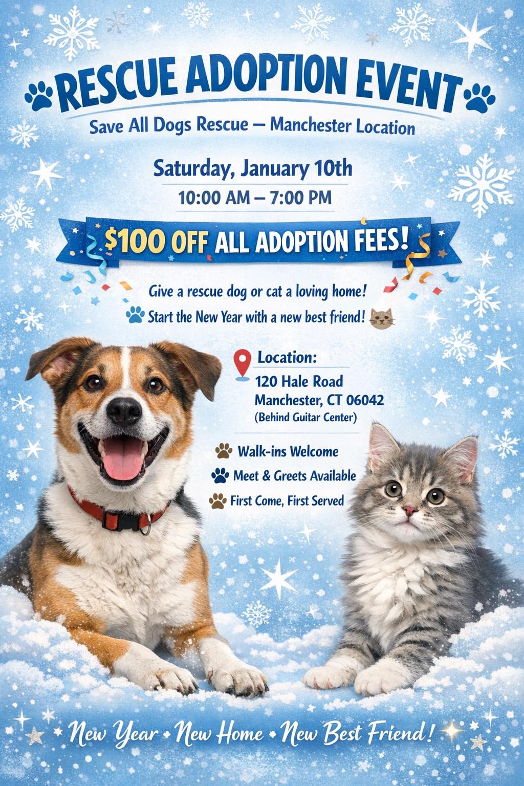 Save all Dogs Rescue 501C3 Non Profit | Manchester CT