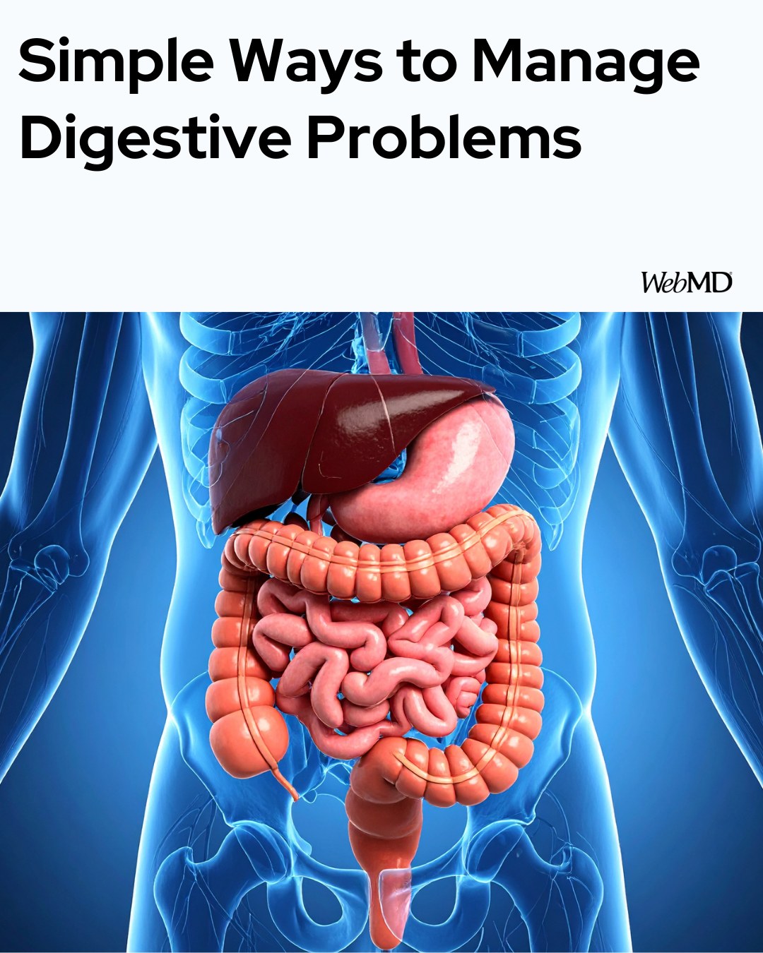 WebMD - From embarrassing gas to uncomfortable heartburn, everyone has ...
