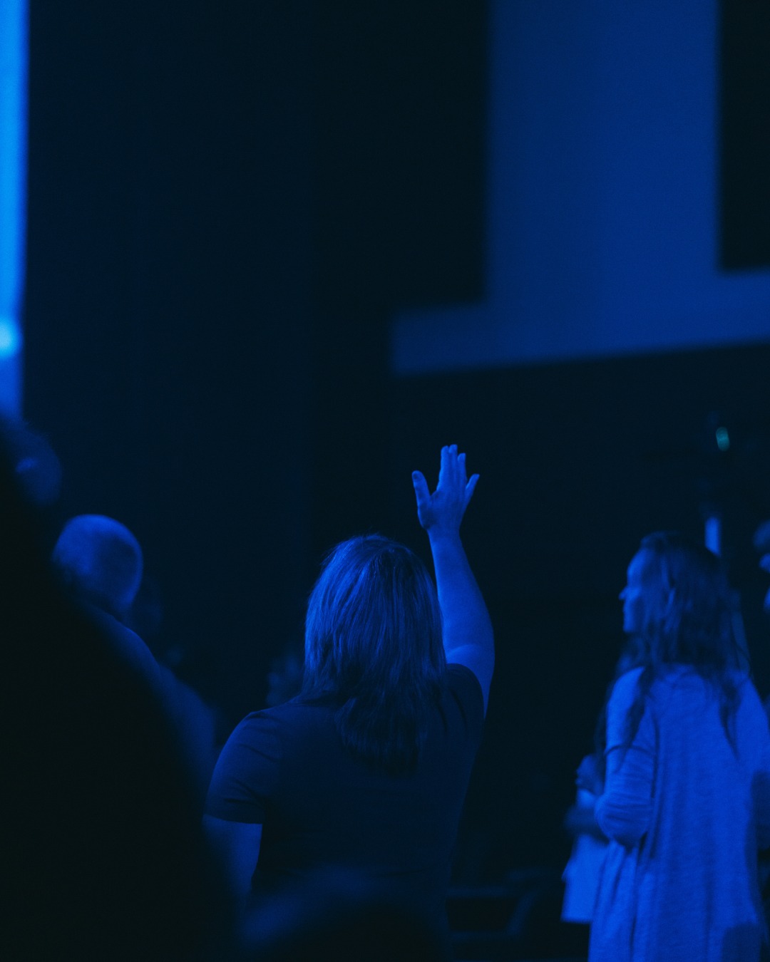 Springwell - Want to take your next step in studying the Bible with ...