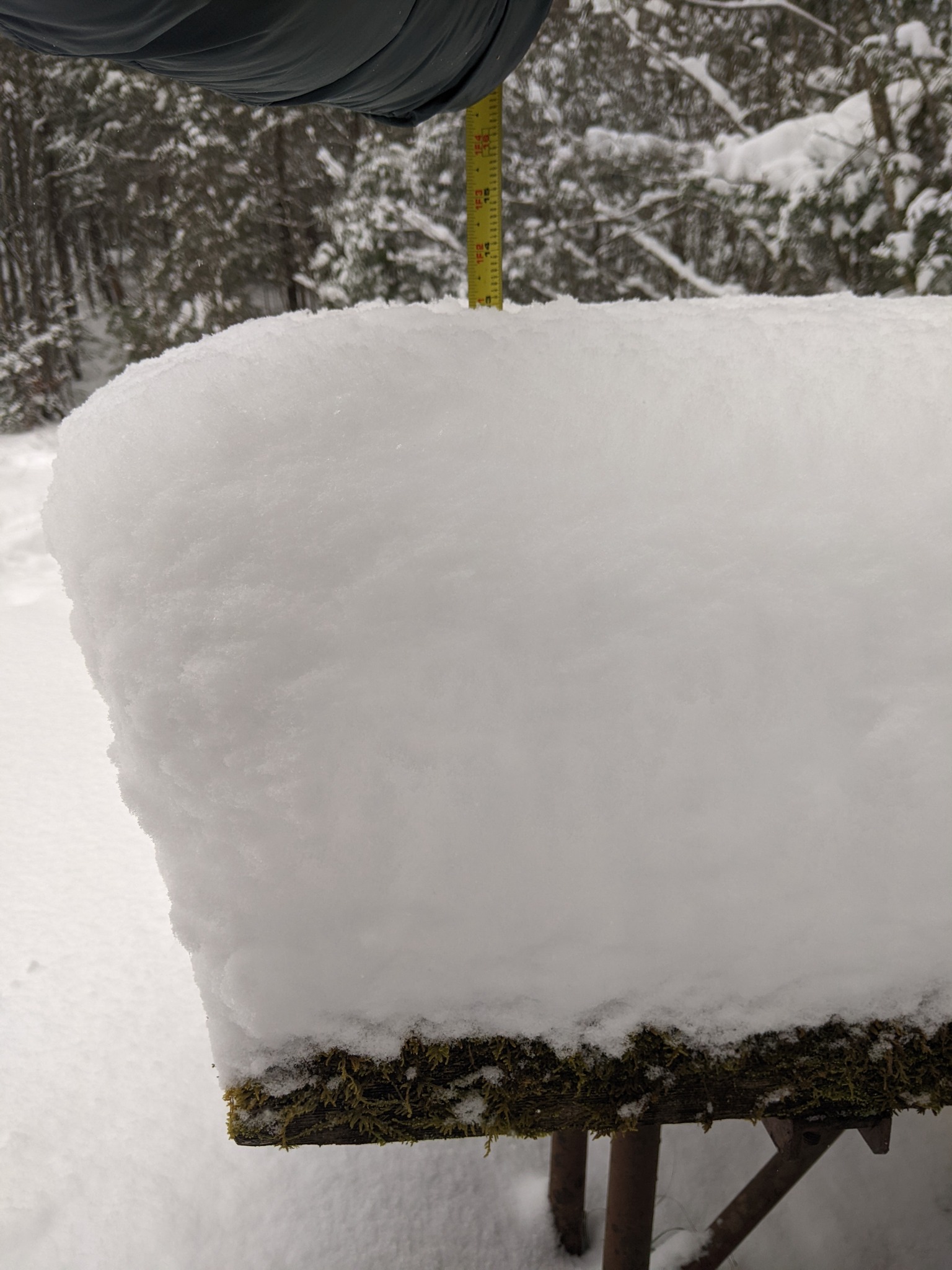 13 inches of snow at Tremont! How