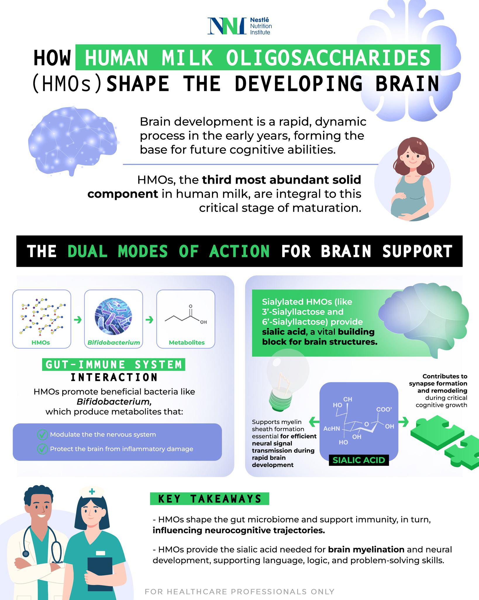 glutathione in breast milk reflects 🧠 How do HMOs shape the developing brain?​ This week, we're spotlighting the powerful connection between early nutrition, the gut microbiome, and infant neurodevelopment. ​ Human Oligosaccharides (HMOs)—the third most abundant b12 injections park hills PDRN bundle:Buy 2