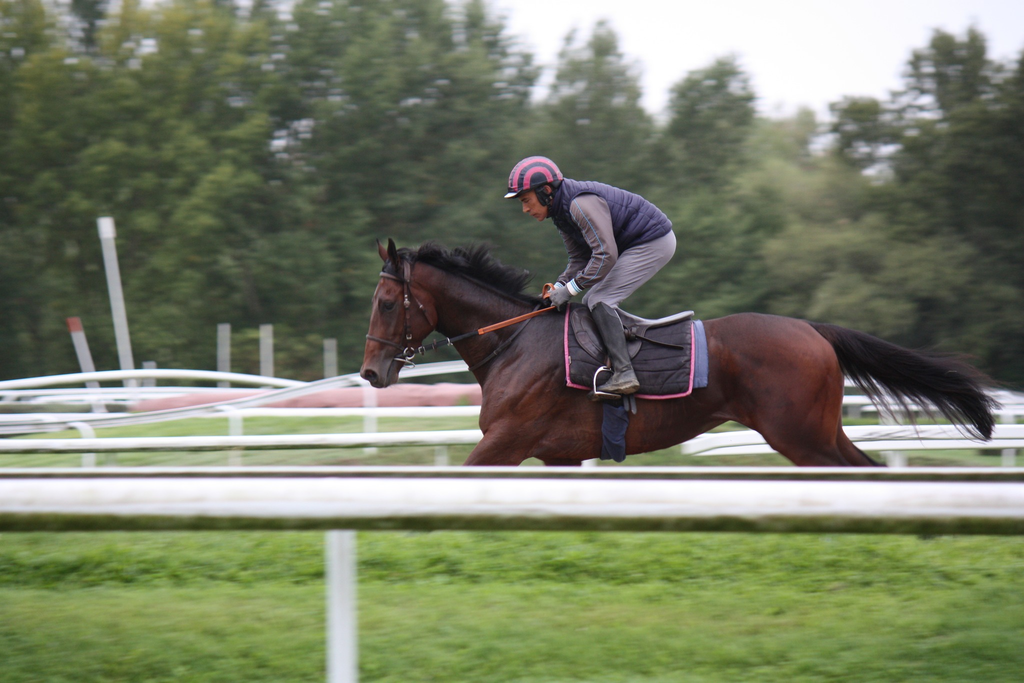 Nick Littmoden Racing added a new... - Nick Littmoden Racing